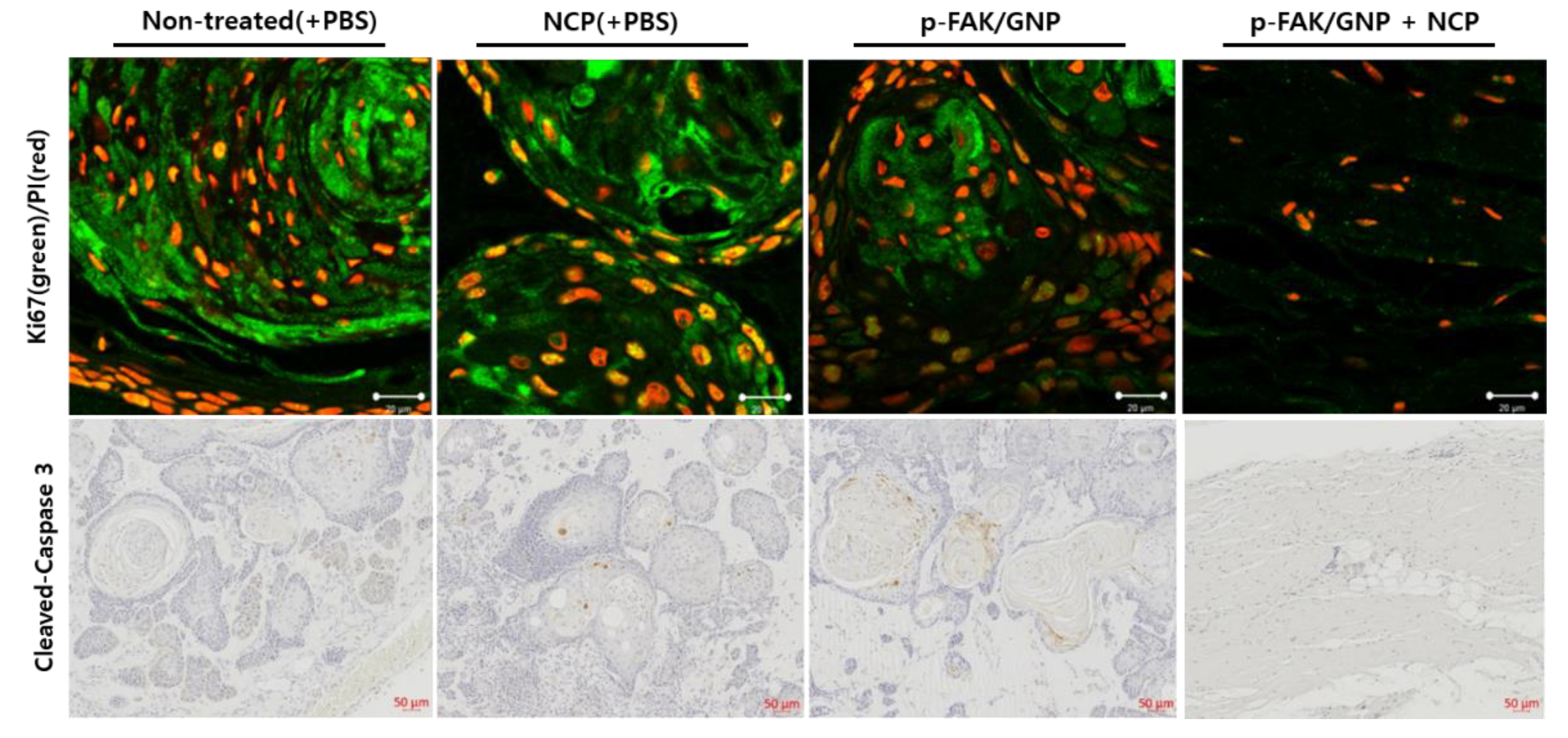 Biomedicines 10 02259 g007 Biomedicines 10 02259 g007