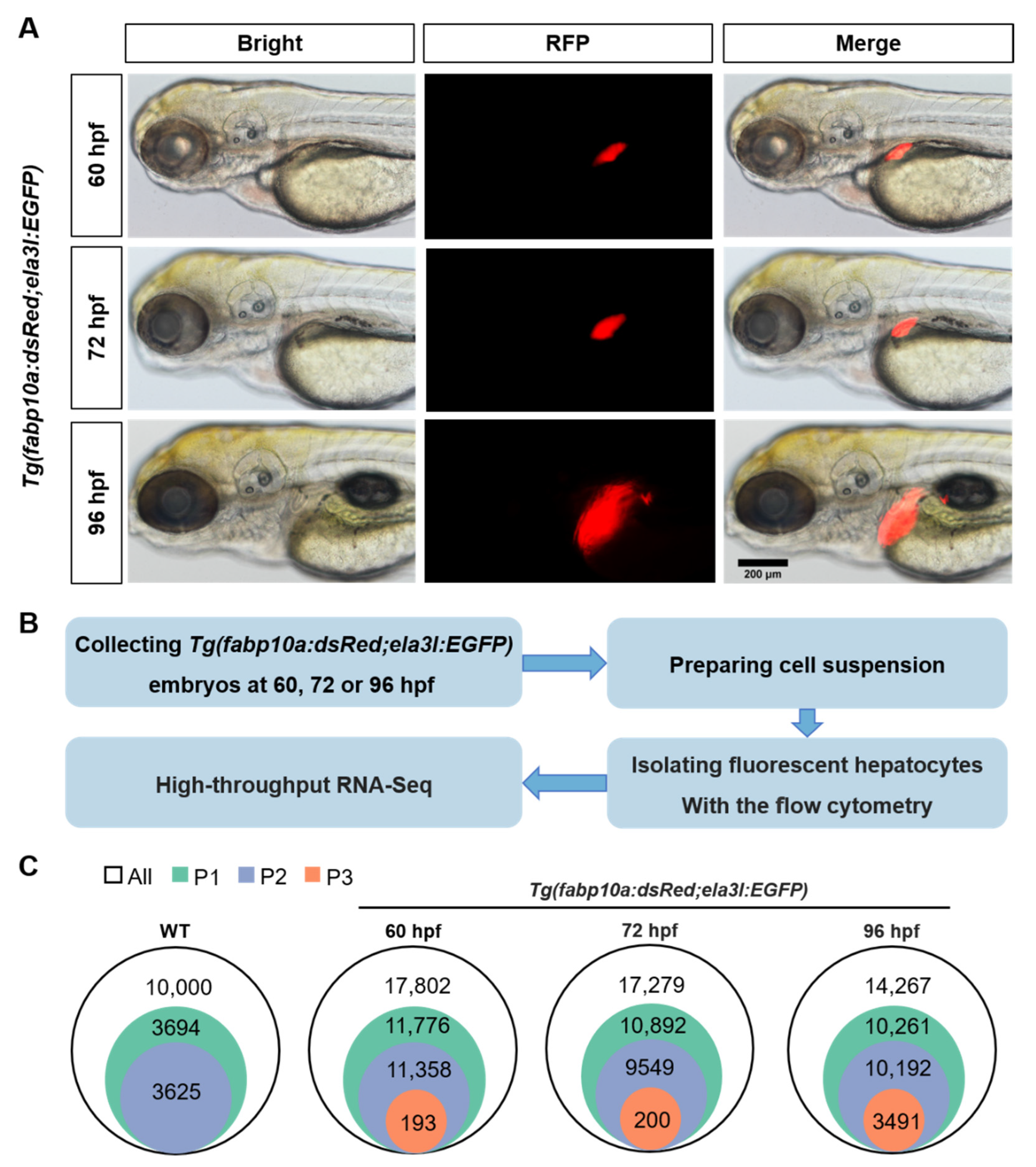 Biomedicines 10 02264 g001 550