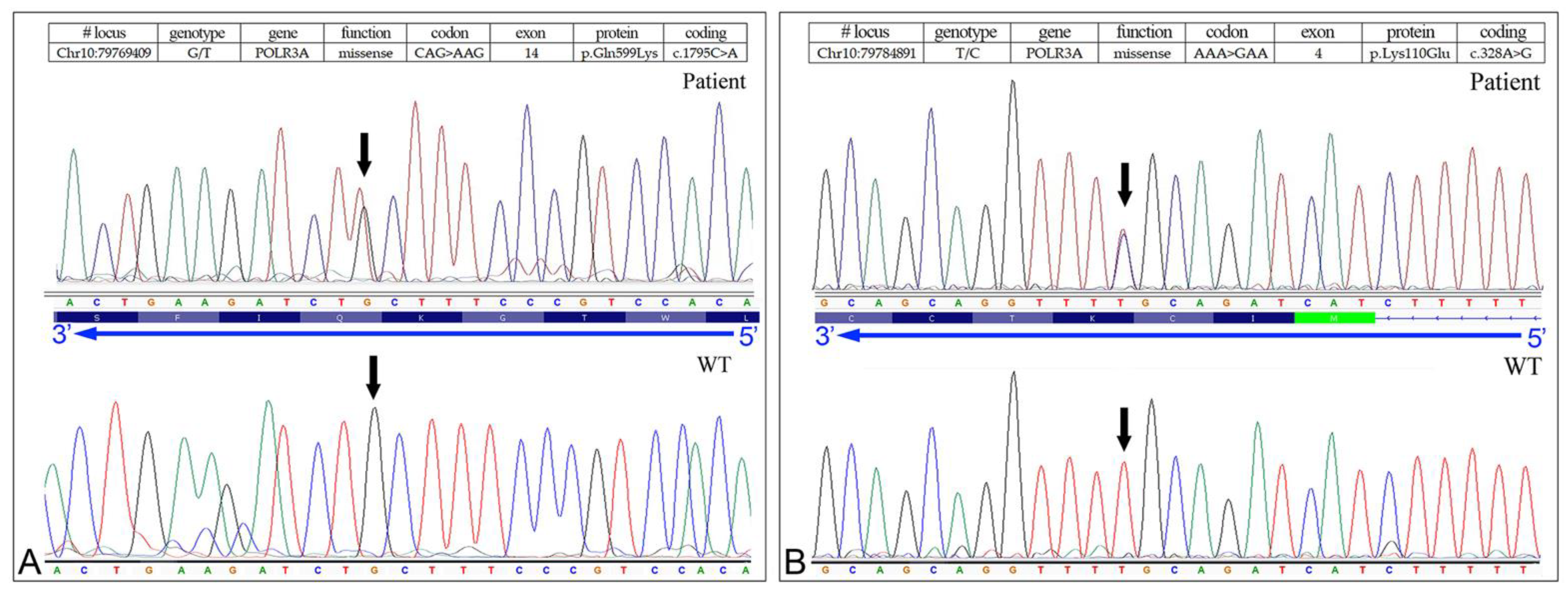 Biomedicines 10 02276 g004 550