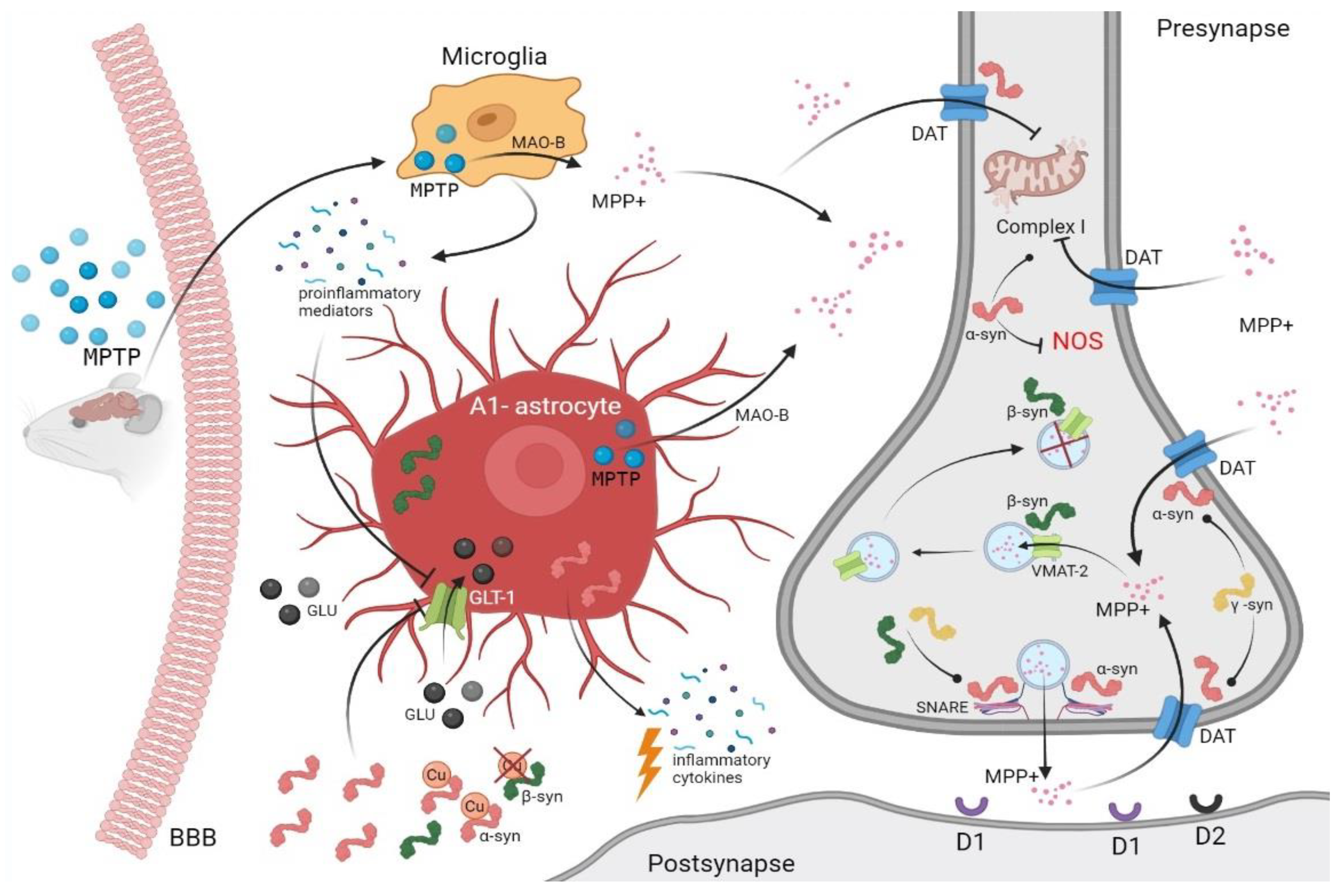 Biomedicines 10 02278 g001