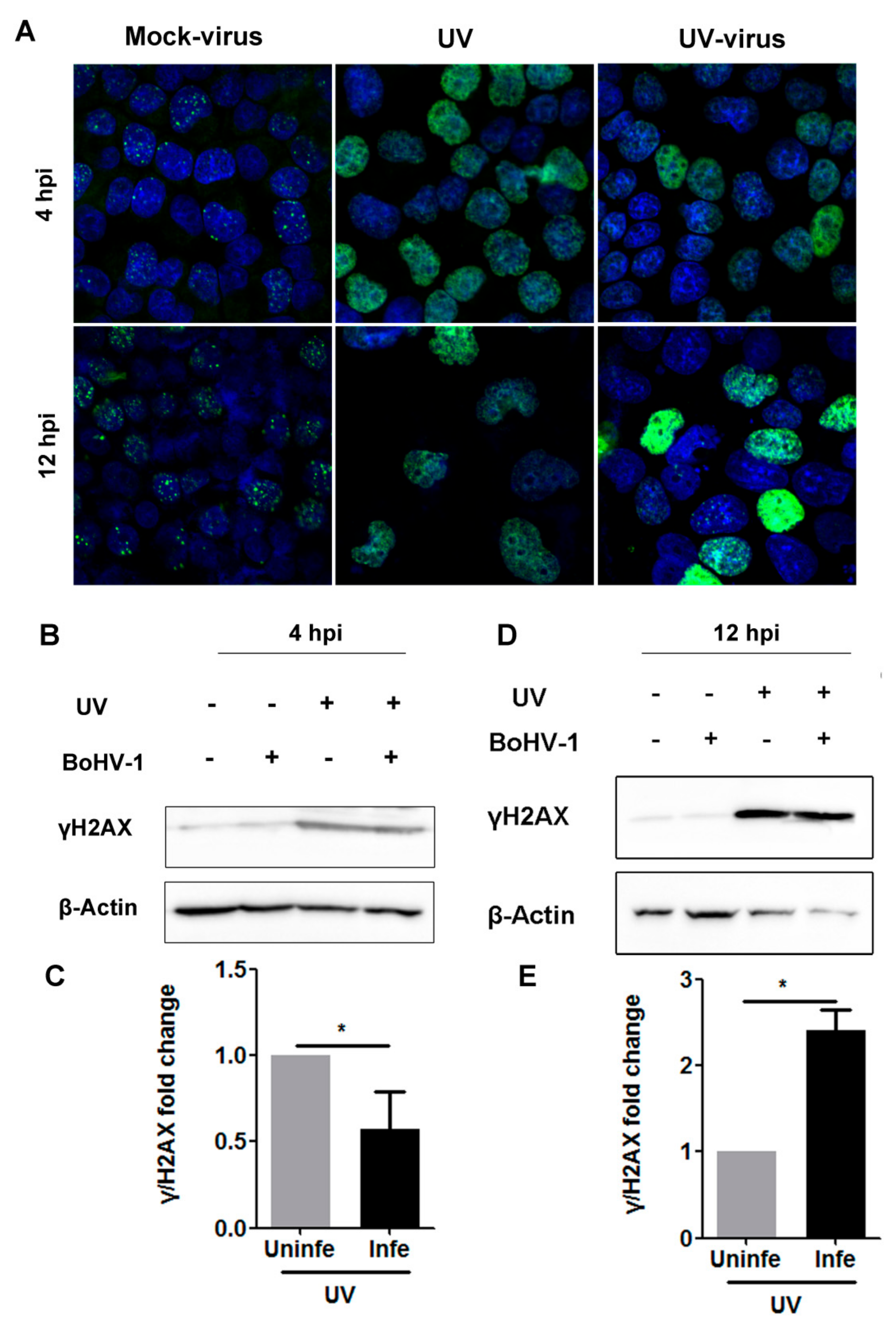 Biomedicines 10 02282 g007