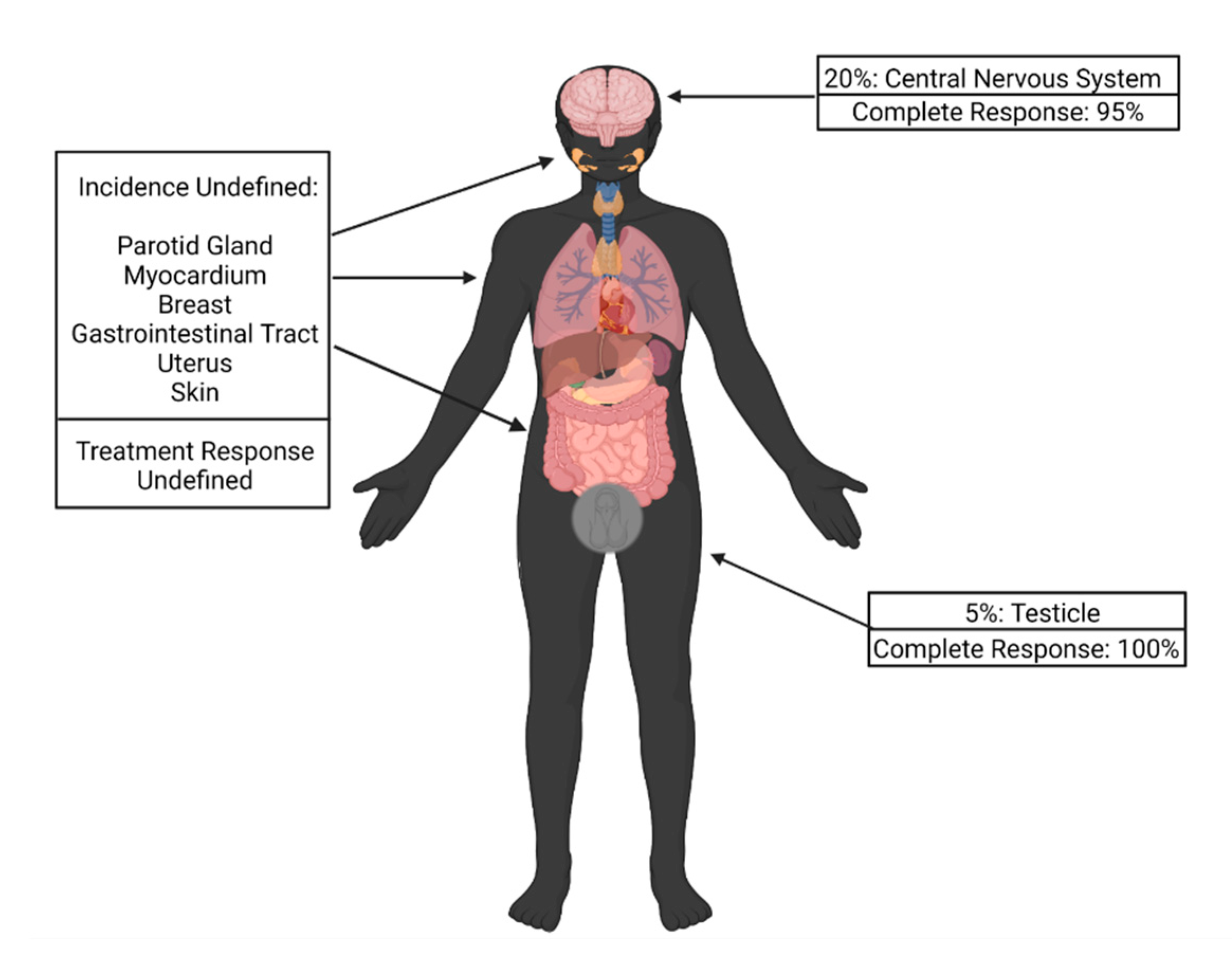 https://www.mdpi.com/biomedicines/biomedicines-10-02286/article_deploy/html/images/biomedicines-10-02286-g001.png