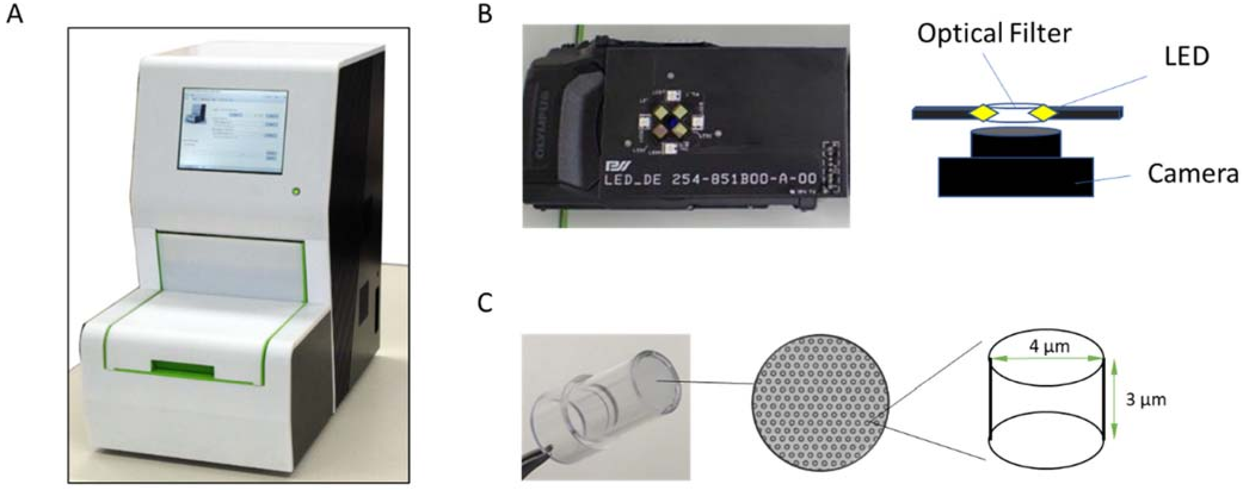 Biomedicines 10 02291 g001