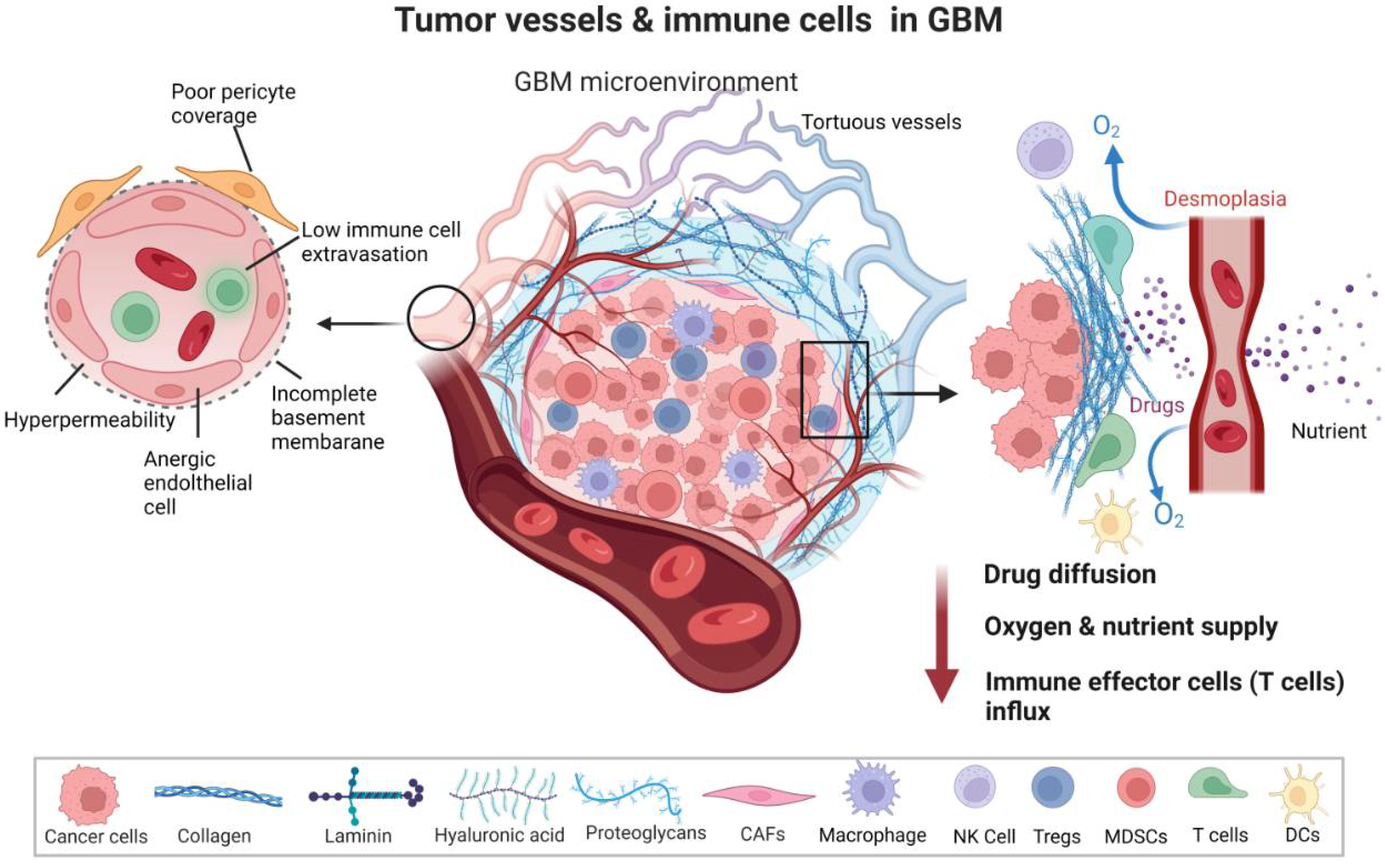 Biomedicines 10 02292 g001 Biomedicines 10 02292 g001