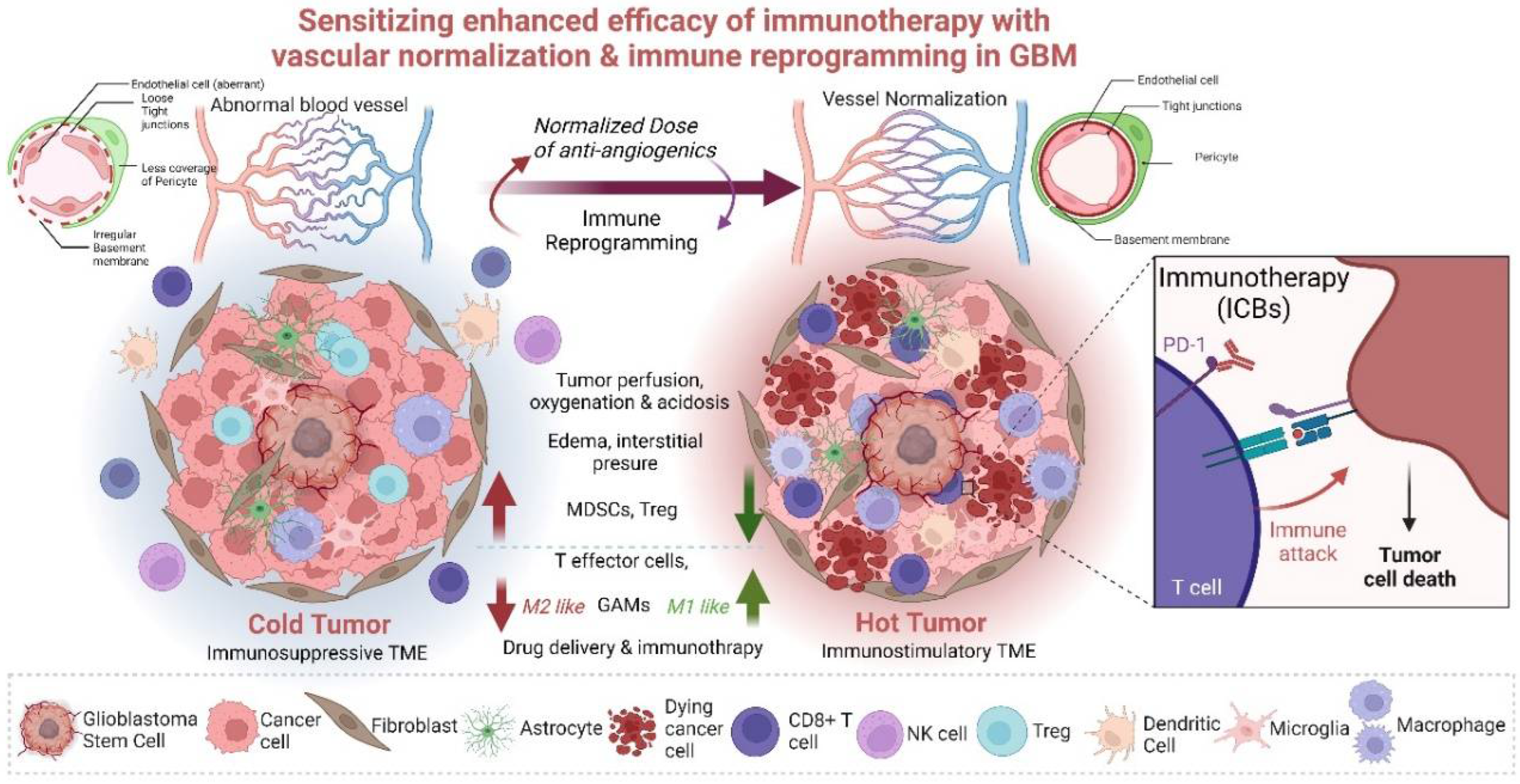 Biomedicines 10 02292 g002 Biomedicines 10 02292 g002