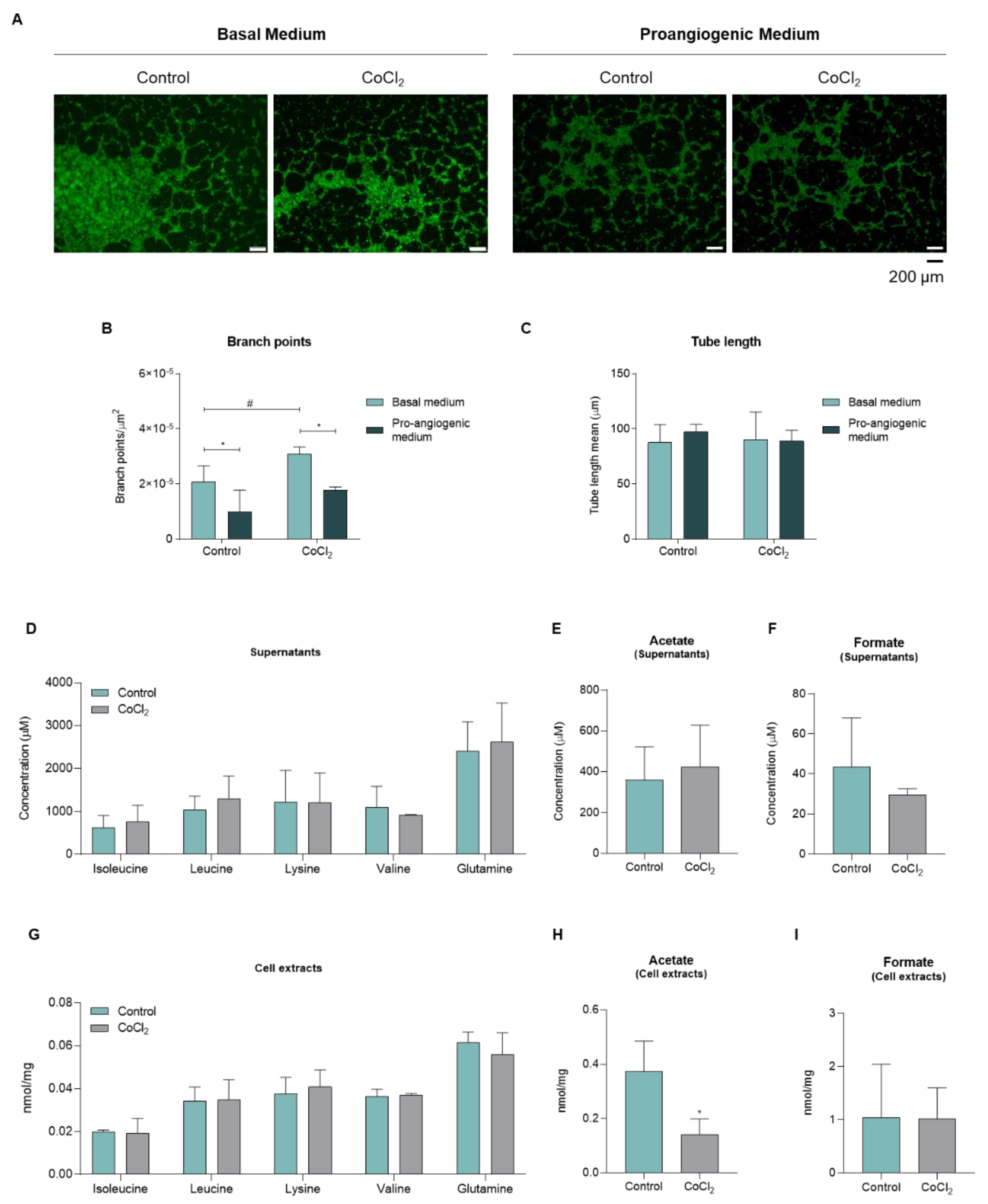 Biomedicines 10 02293 g003 Biomedicines 10 02293 g003