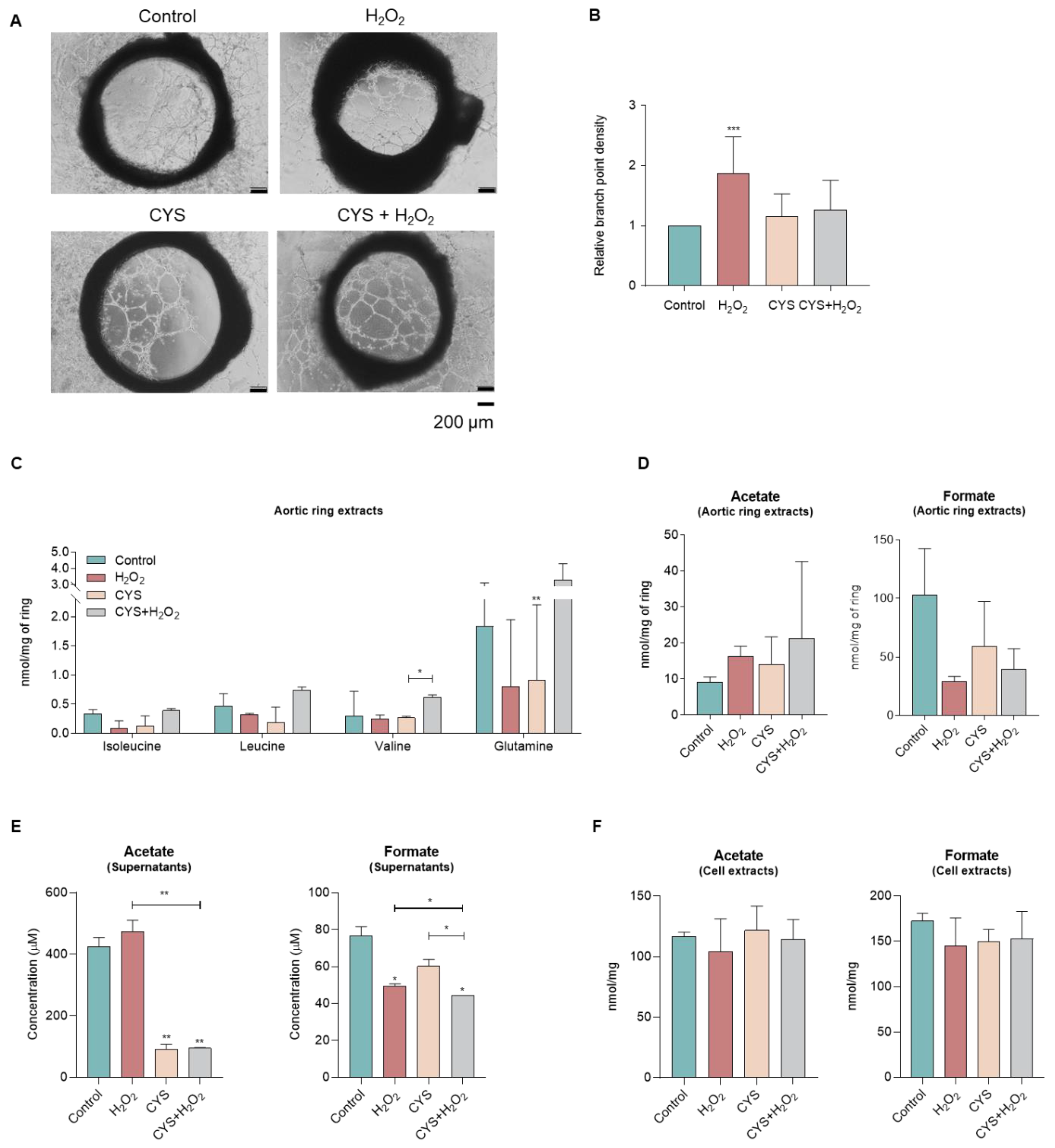 Biomedicines 10 02293 g004a Biomedicines 10 02293 g004a