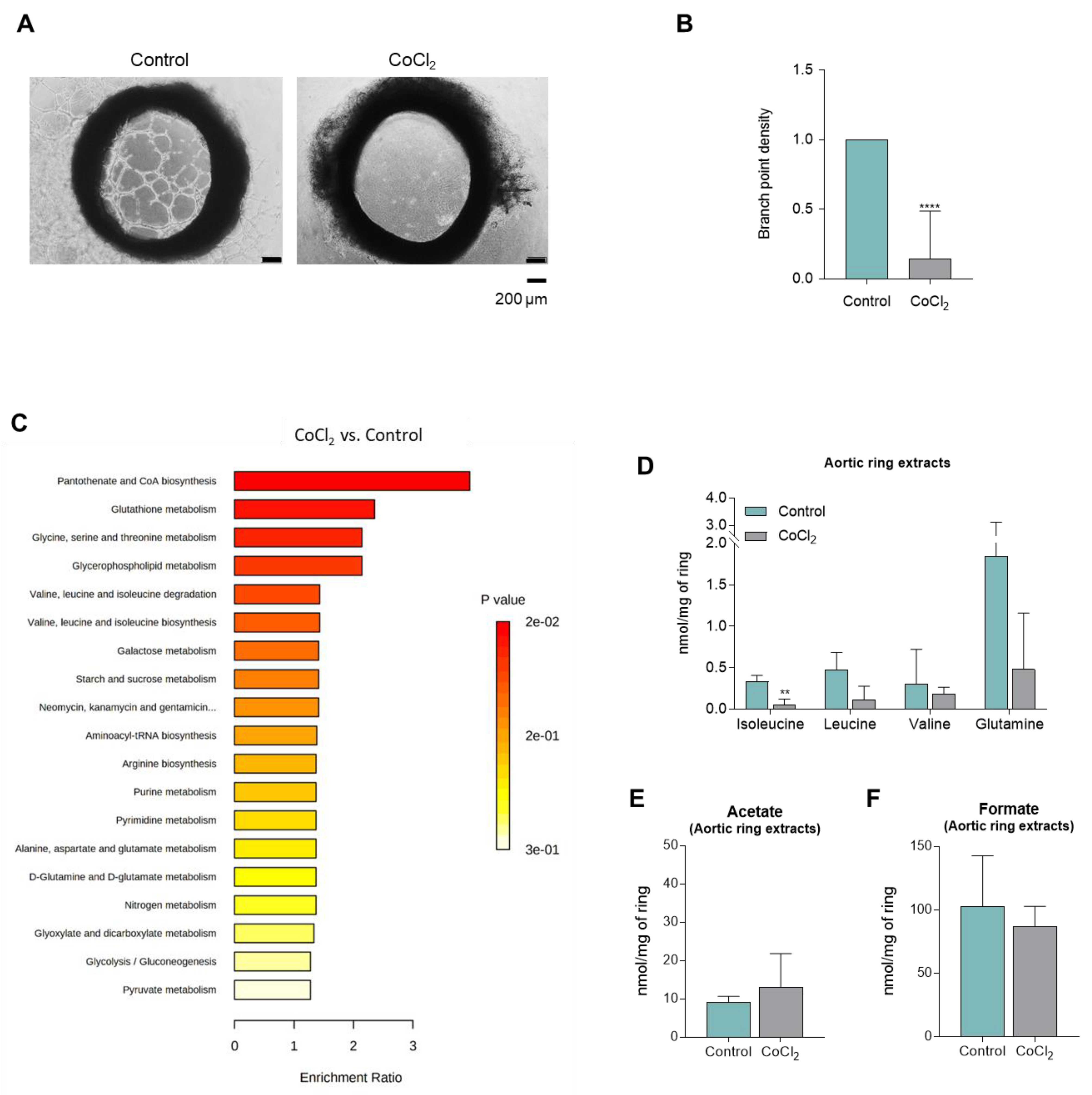Biomedicines 10 02293 g005 Biomedicines 10 02293 g005