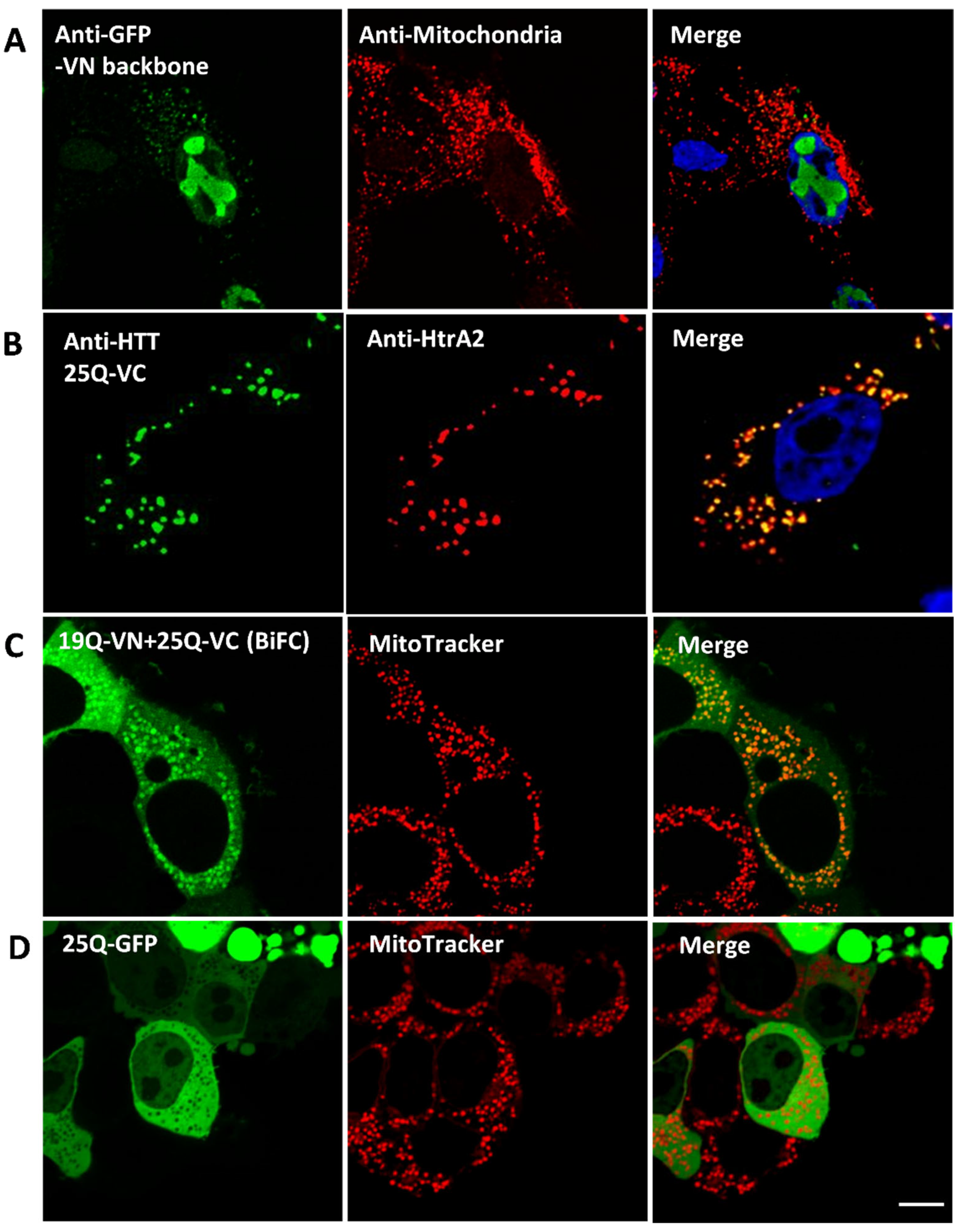 Biomedicines 10 02294 g006 Biomedicines 10 02294 g006