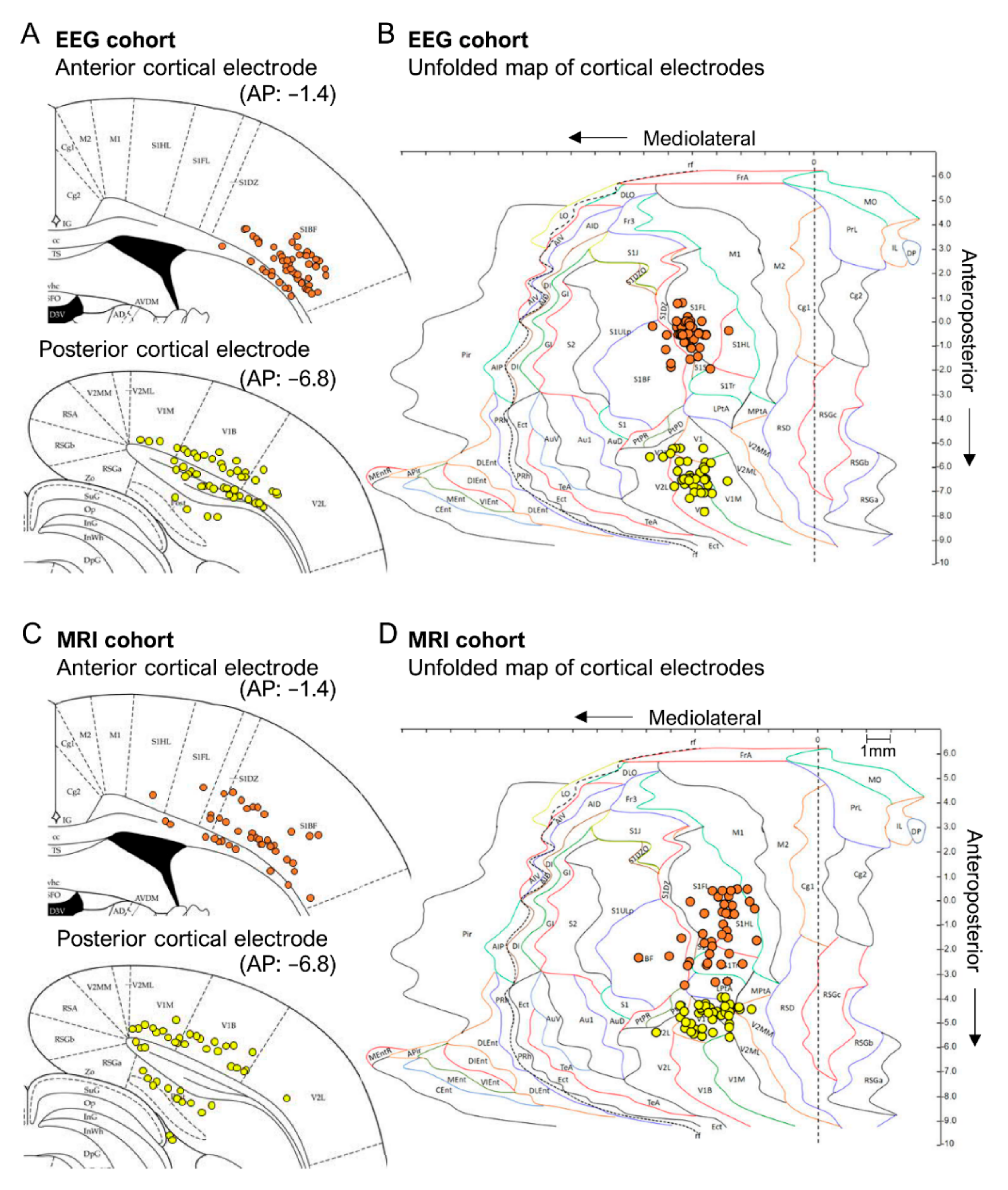Biomedicines 10 02295 g004