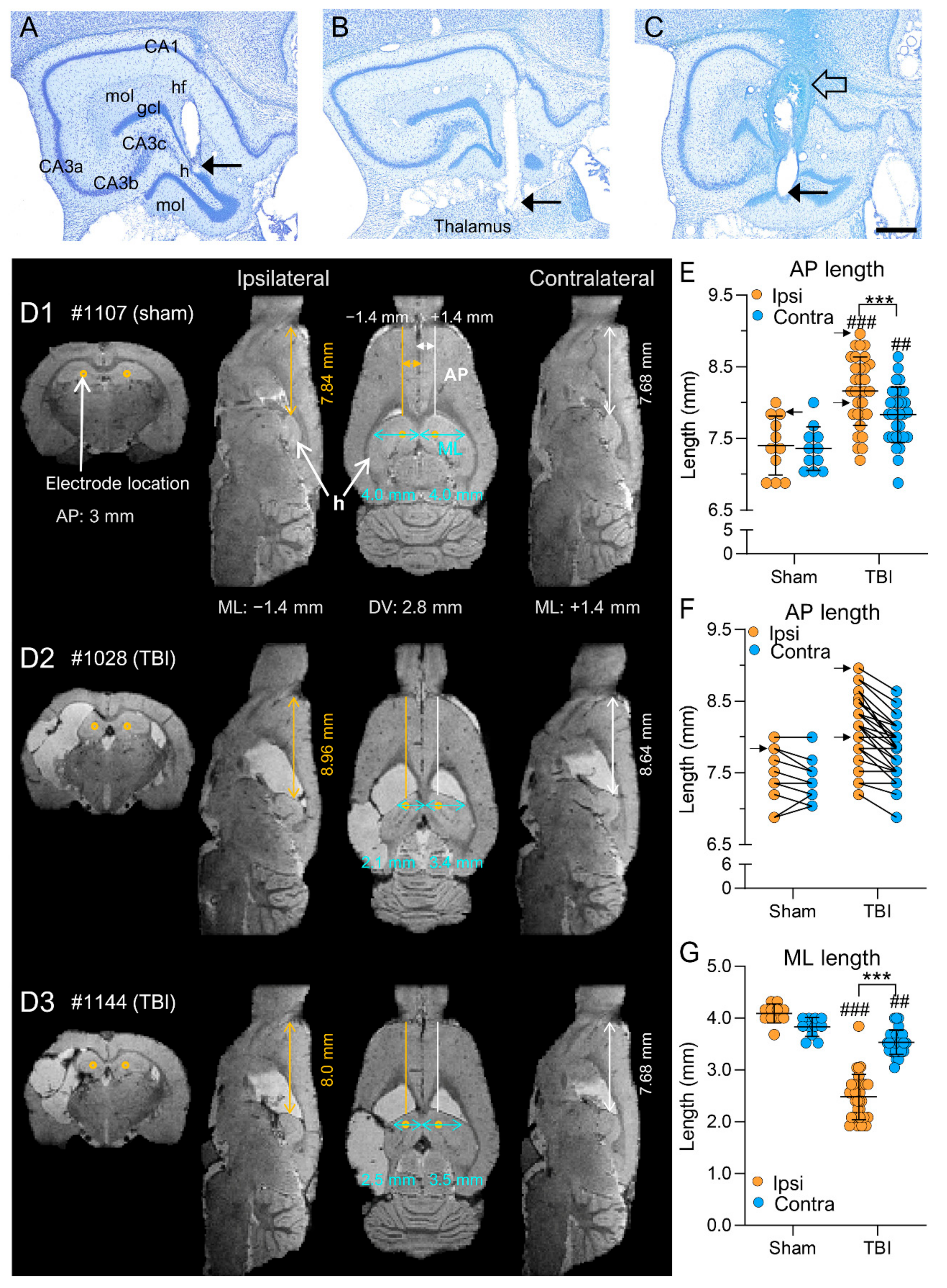 Biomedicines 10 02295 g009