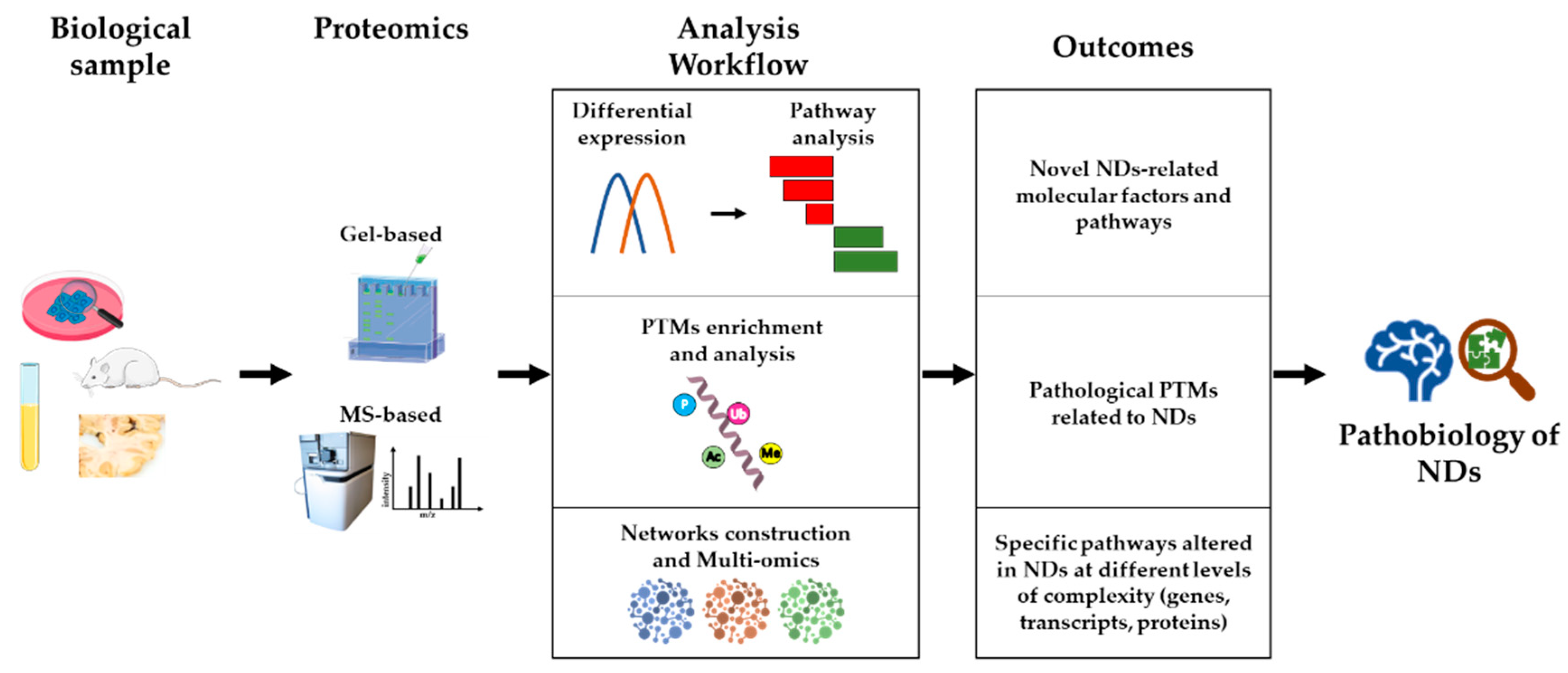 Biomedicines 10 02297 g001