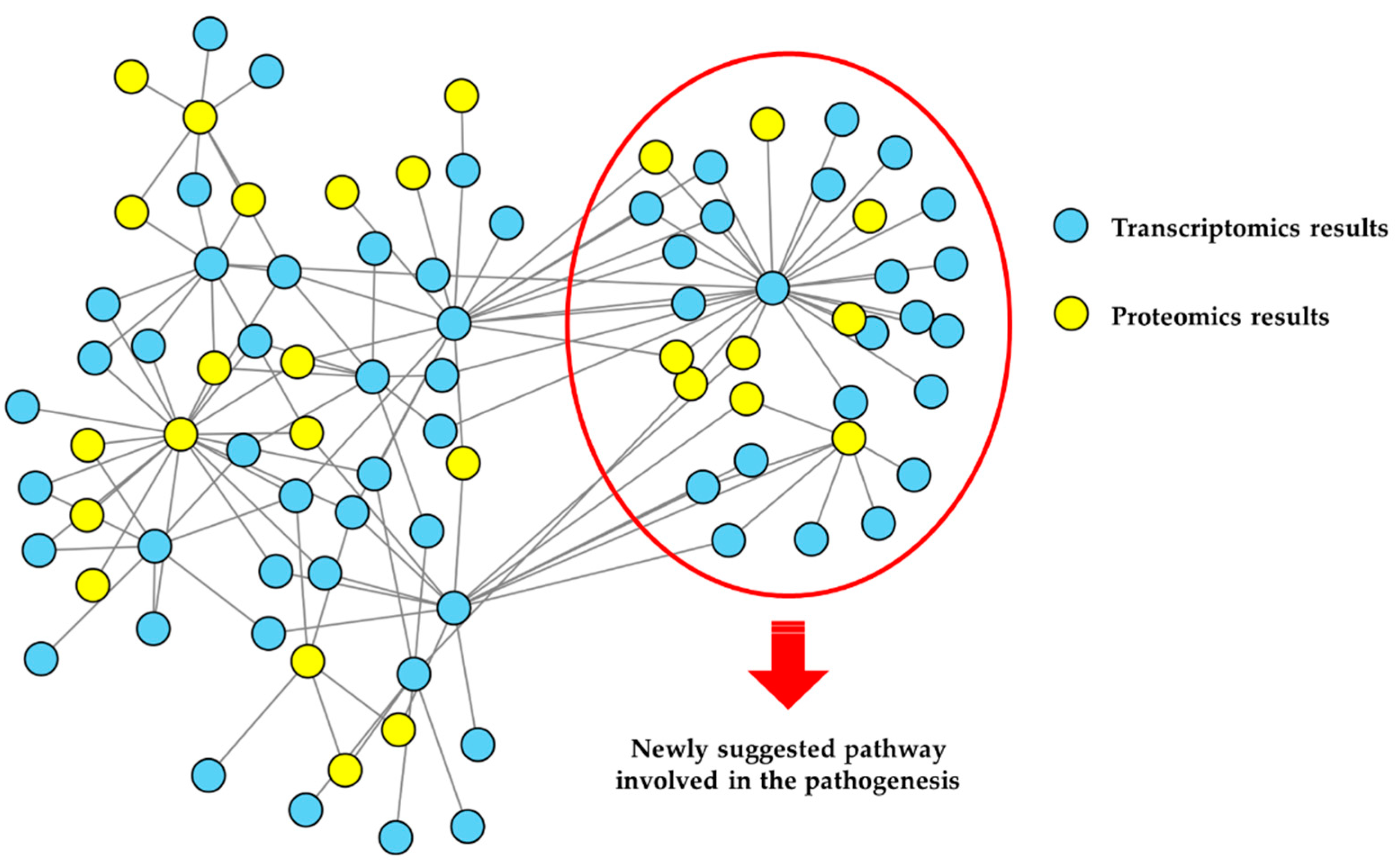 Biomedicines 10 02297 g002