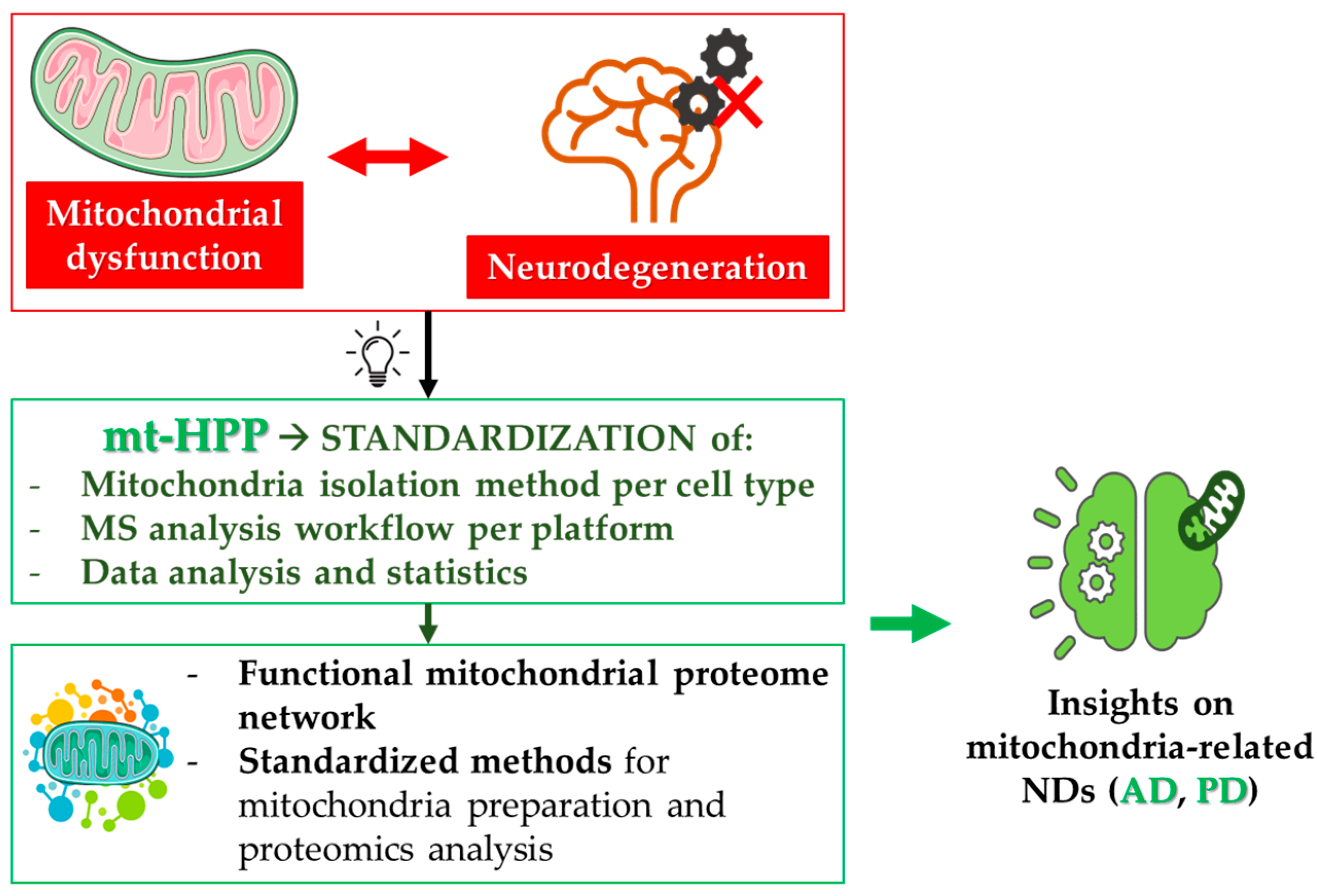 Biomedicines 10 02297 g004