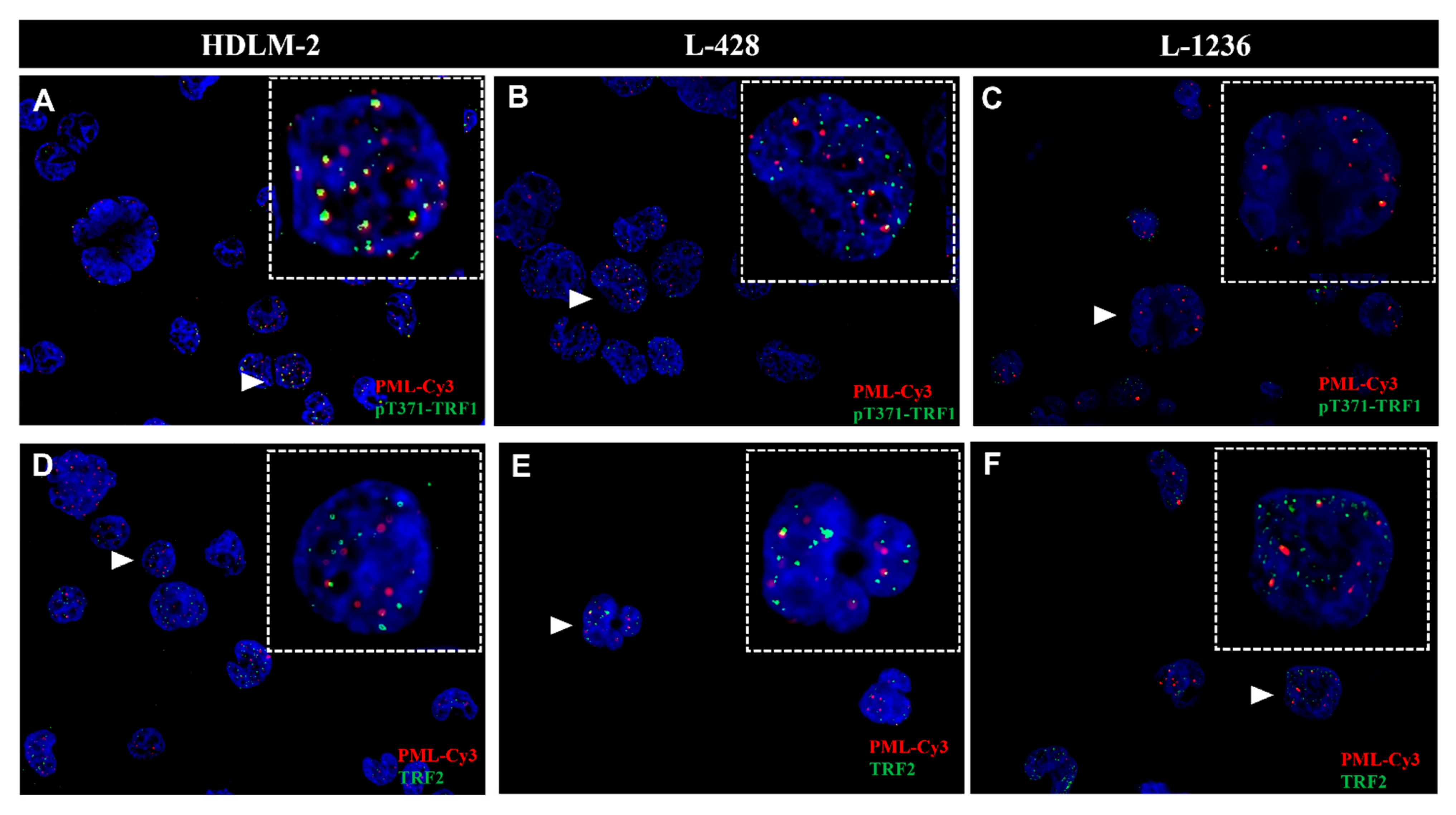Biomedicines 10 02299 g0a2 Biomedicines 10 02299 g0a2