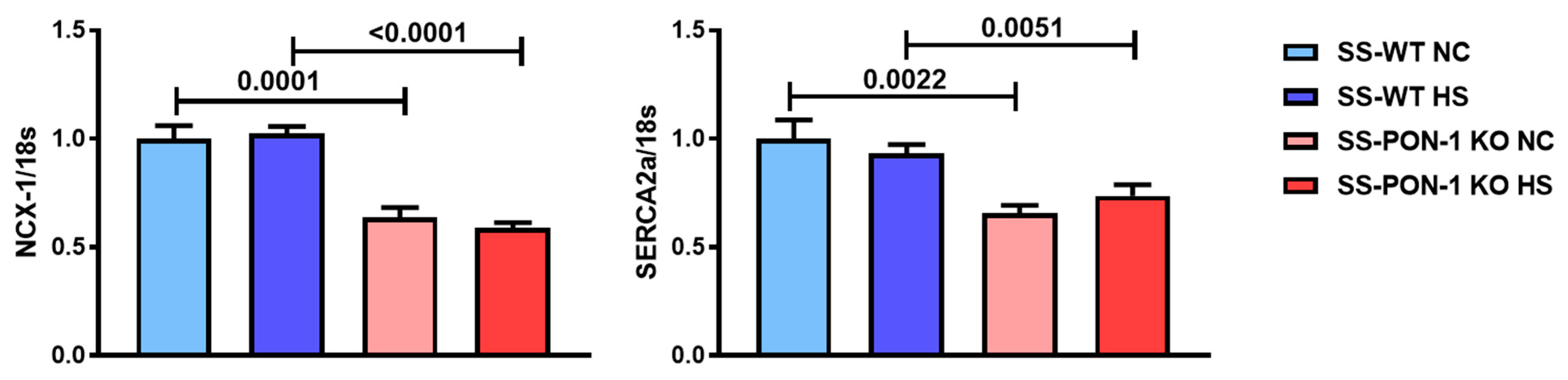 Biomedicines 10 02301 g006