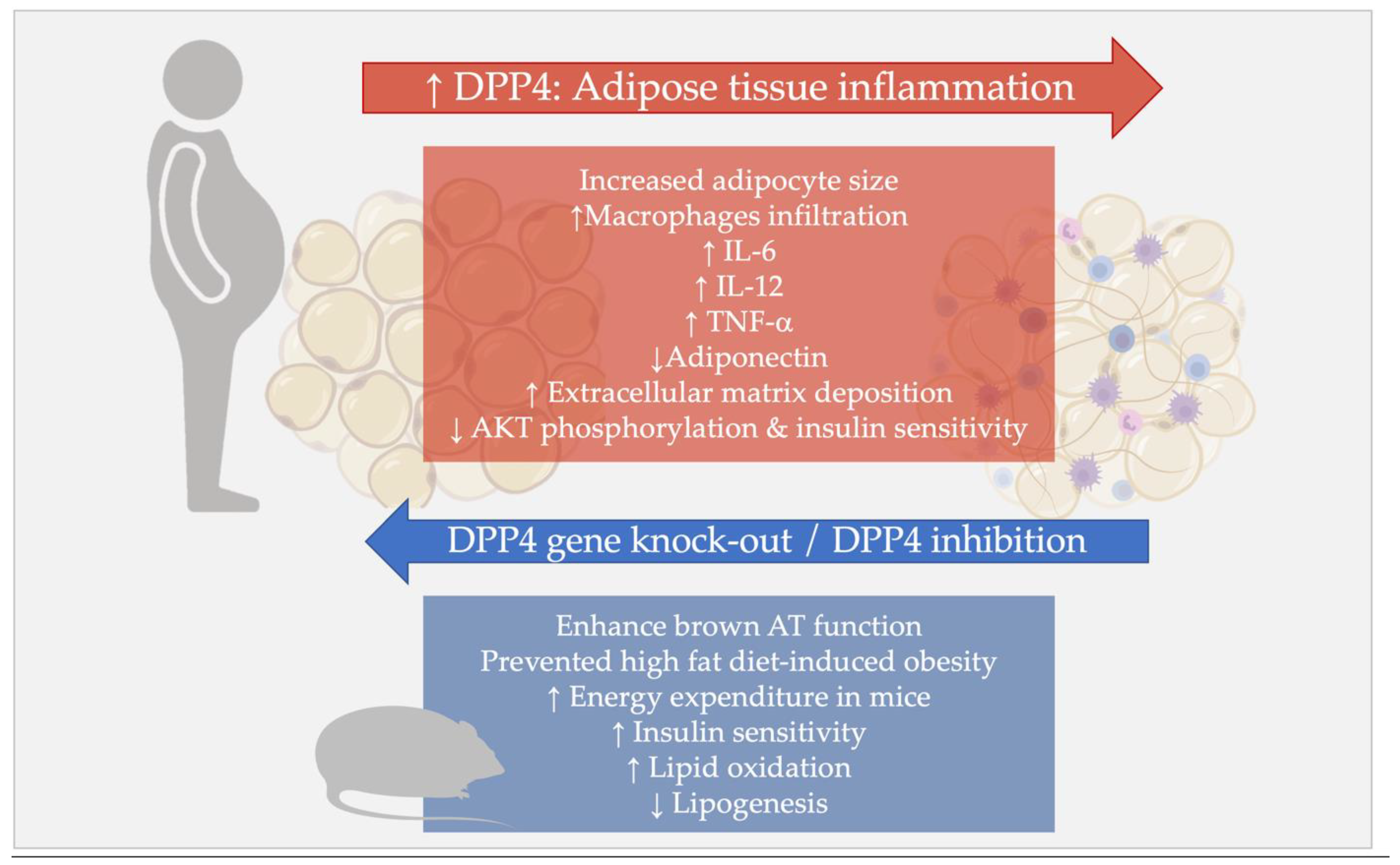 Biomedicines 10 02306 g001 Biomedicines 10 02306 g001