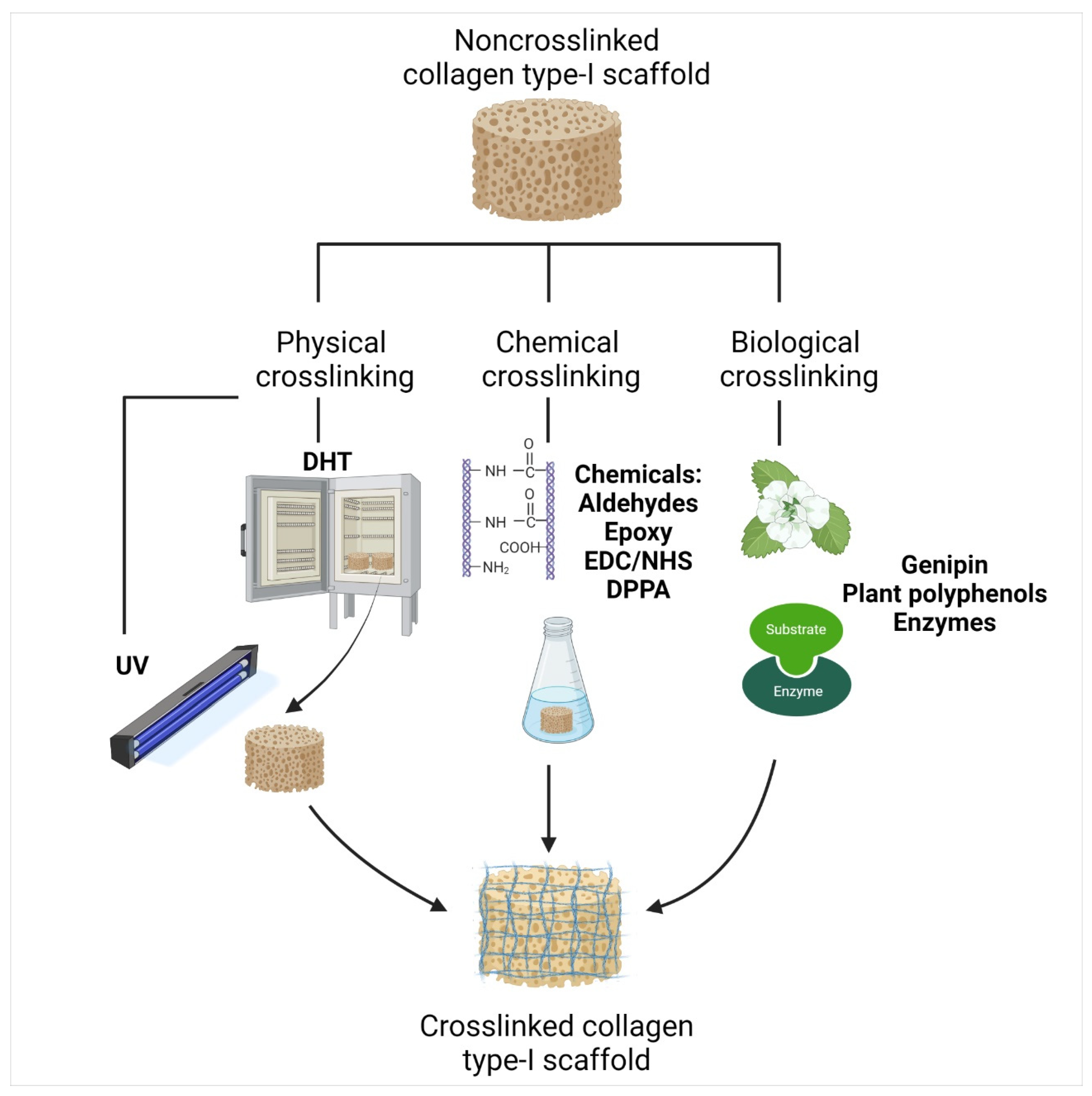 Biomedicines 10 02307 g005 Biomedicines 10 02307 g005