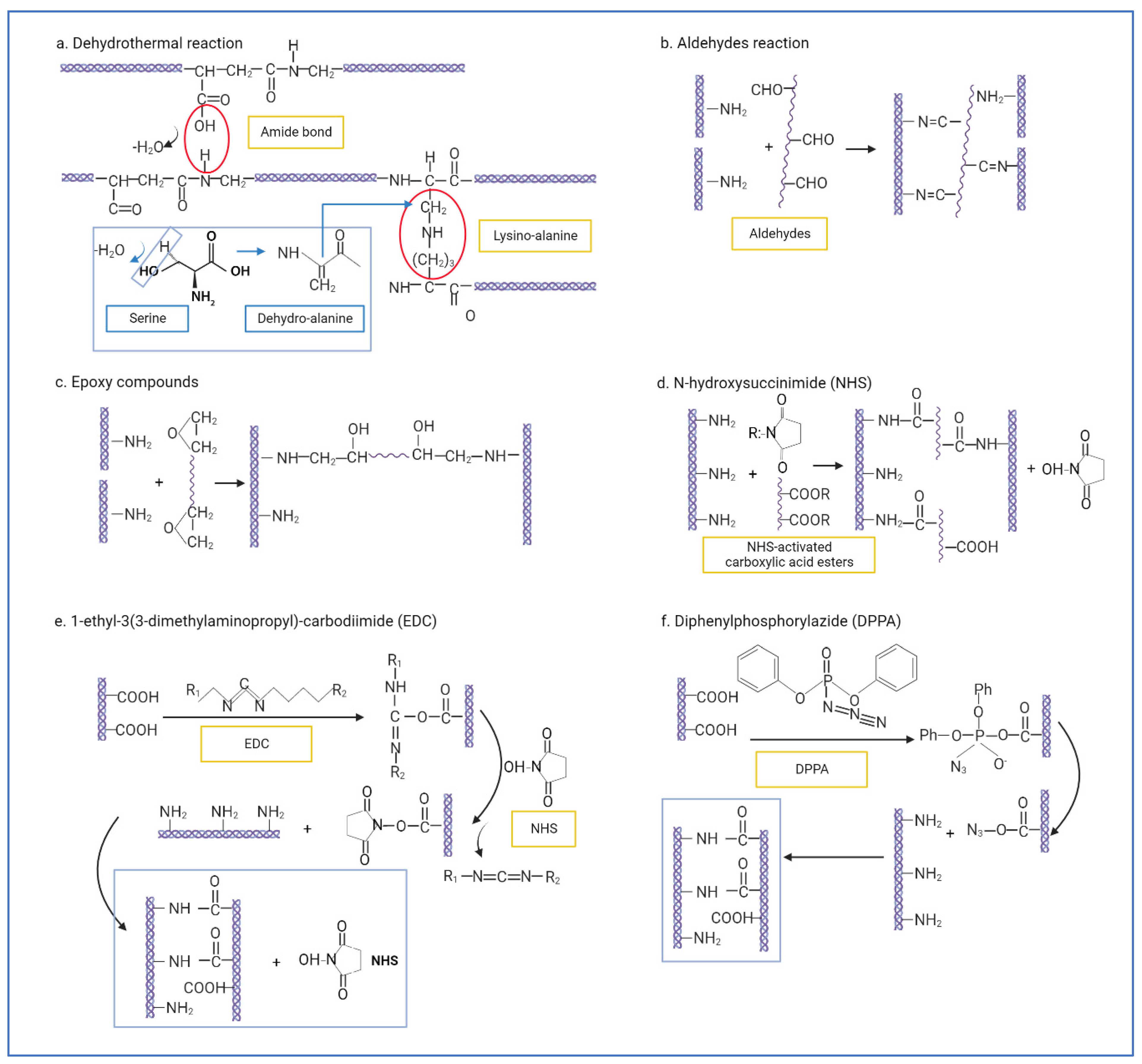 Biomedicines 10 02307 sch001 Biomedicines 10 02307 sch001
