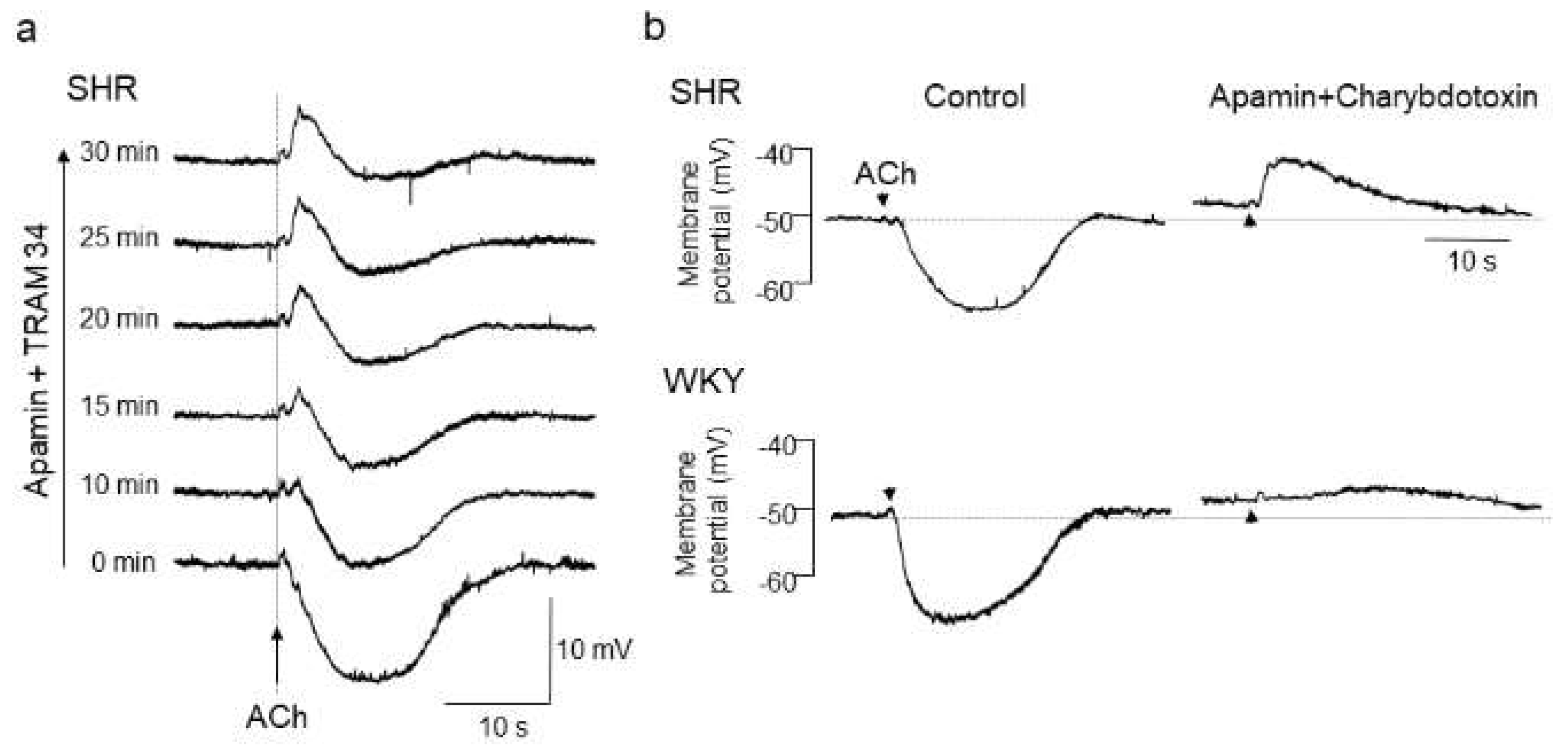 Biomedicines 10 02316 g001