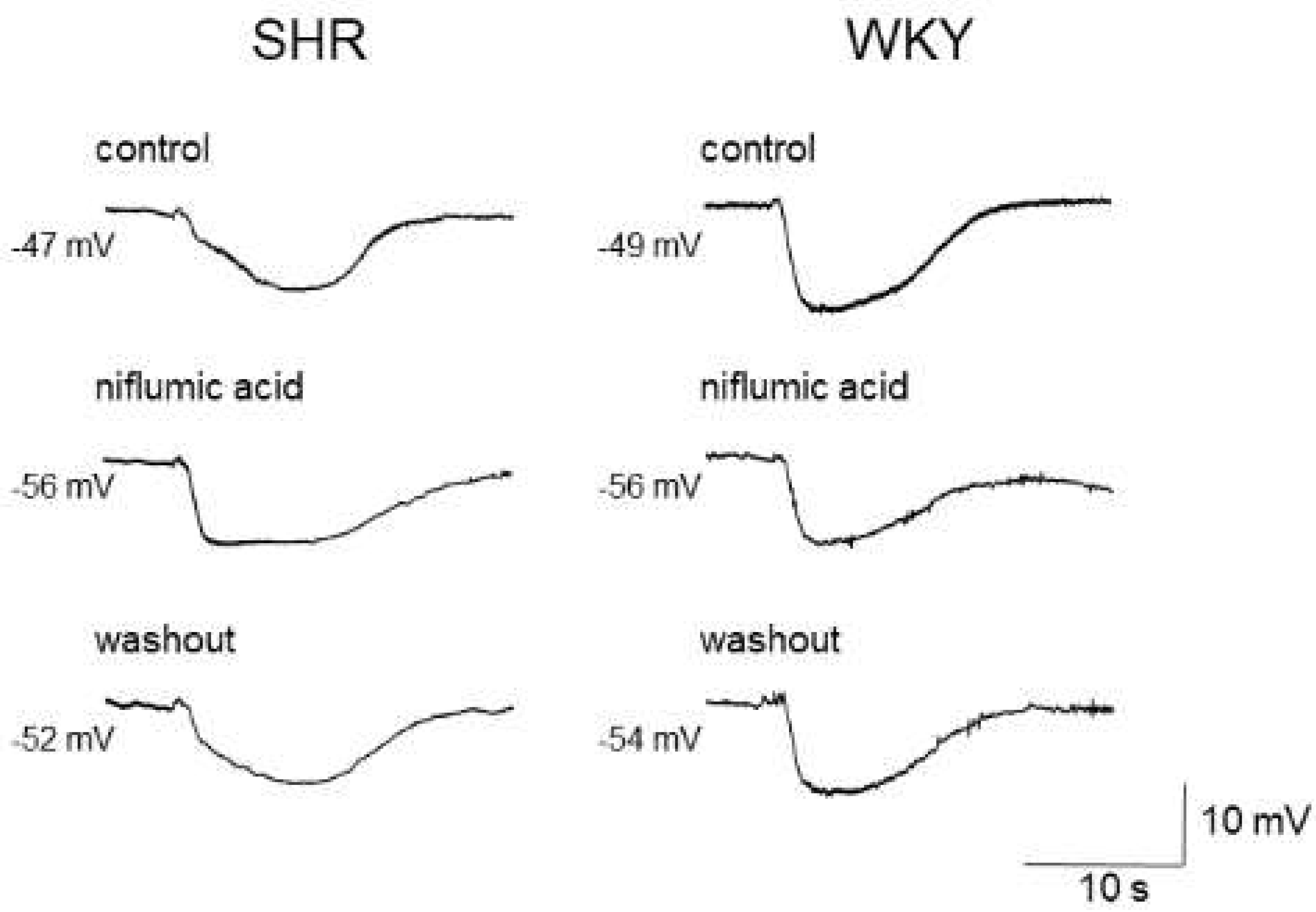 Biomedicines 10 02316 g002