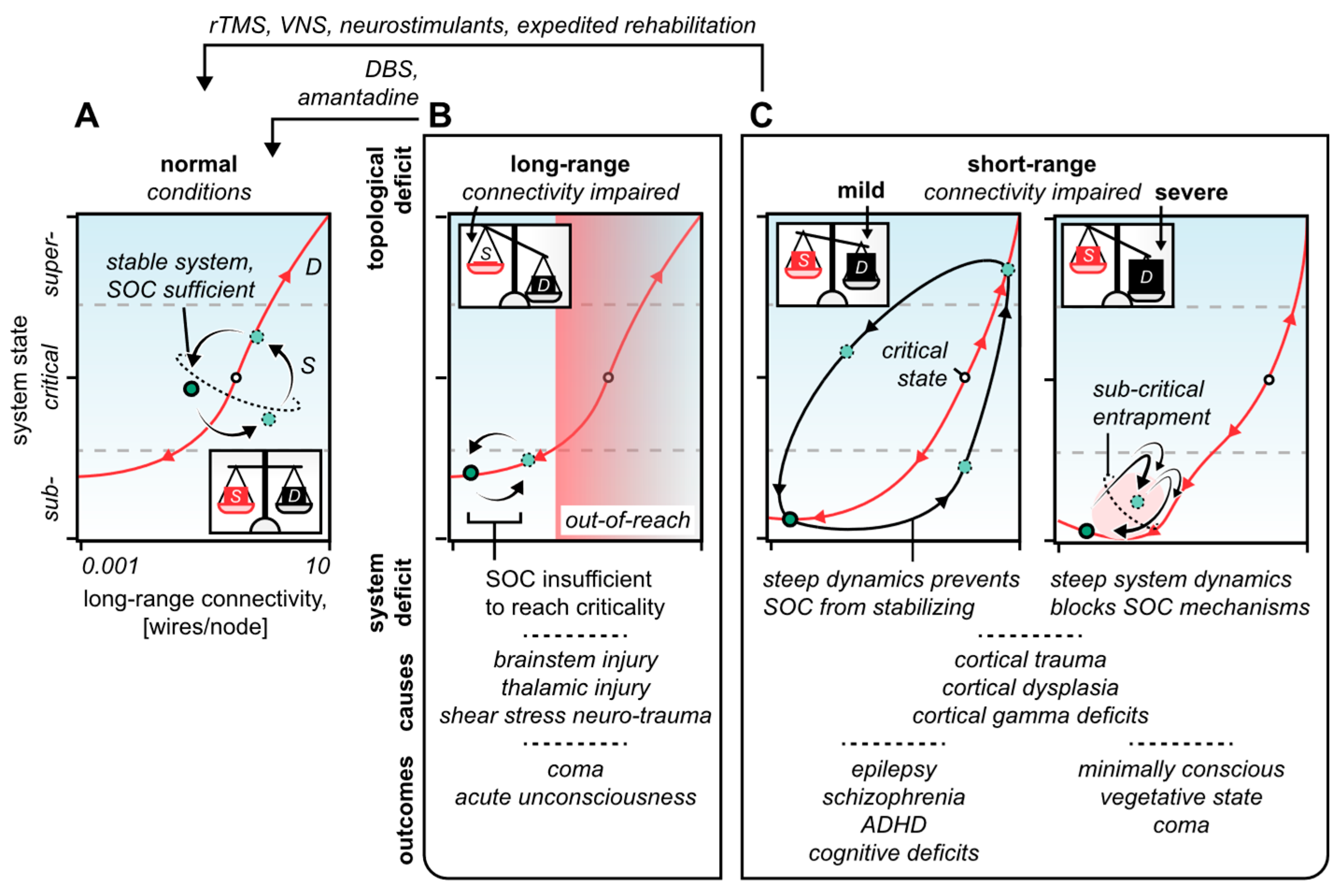 Biomedicines 10 02317 g004 Biomedicines 10 02317 g004