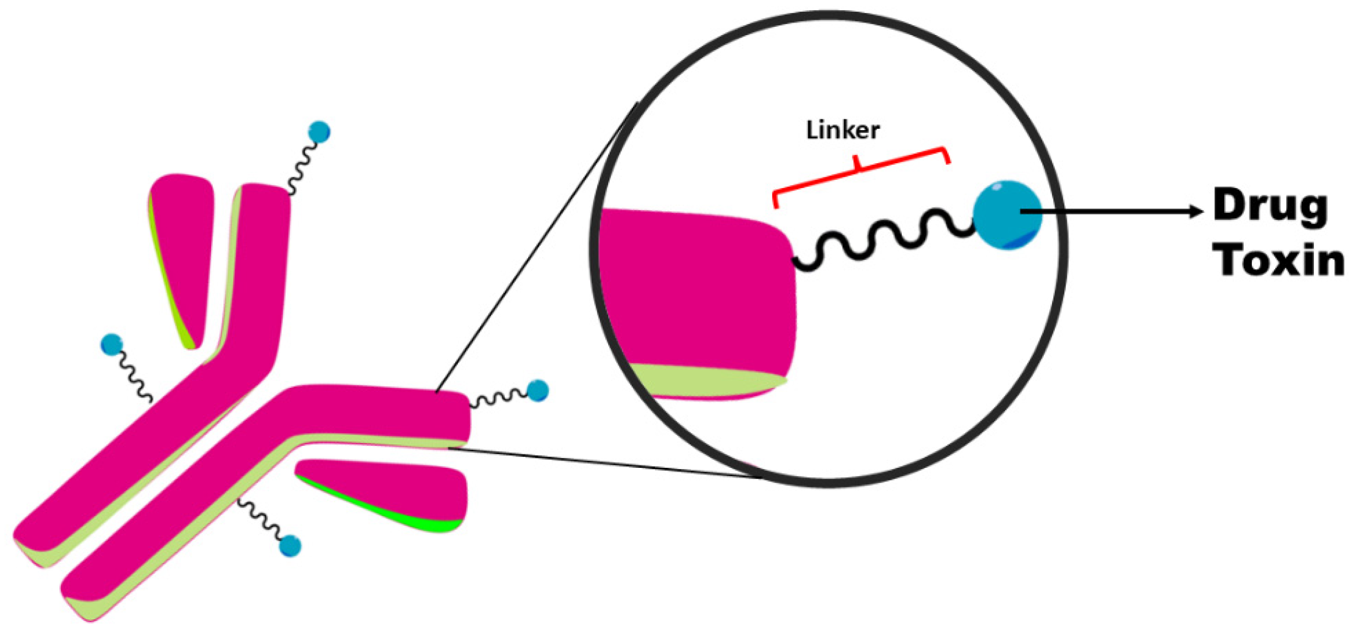 Biomedicines 10 02325 g001