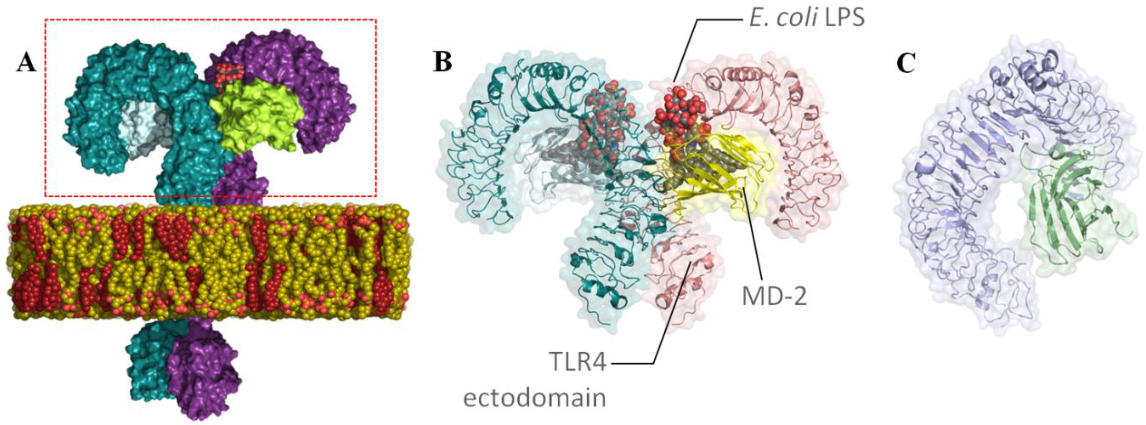 Biomedicines 10 02326 g001