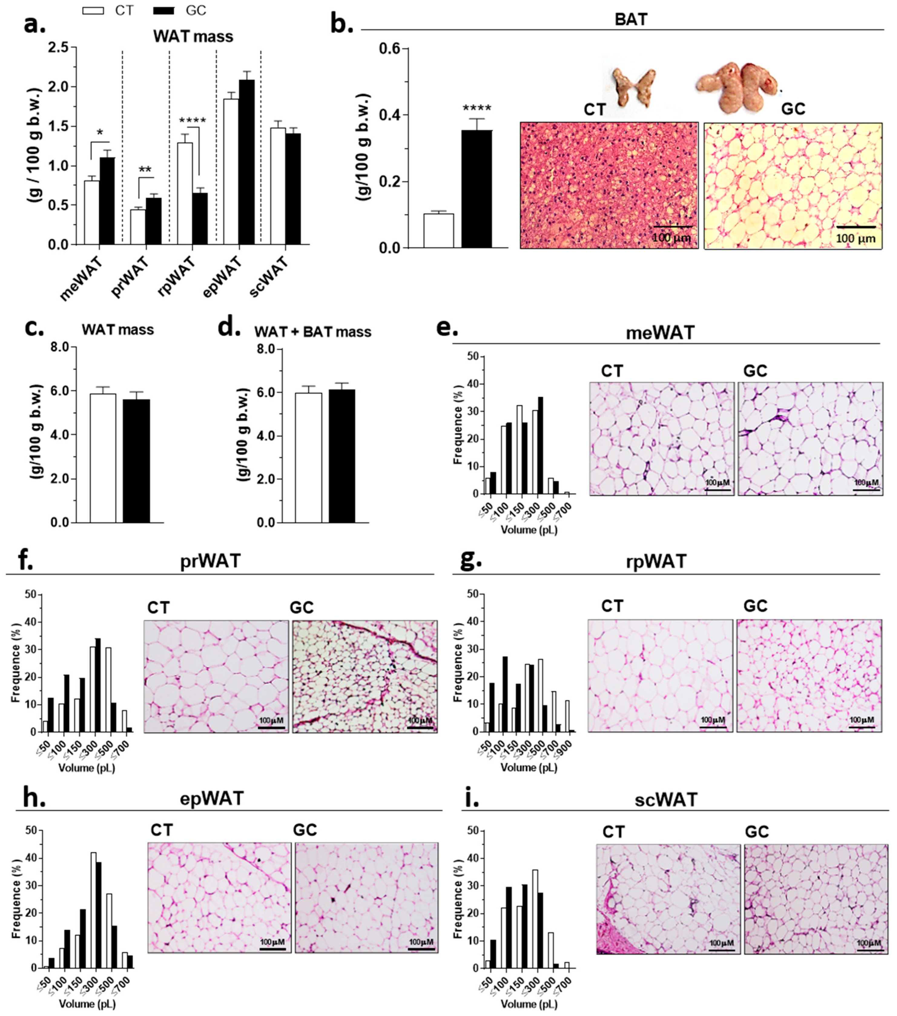 Biomedicines 10 02328 g004