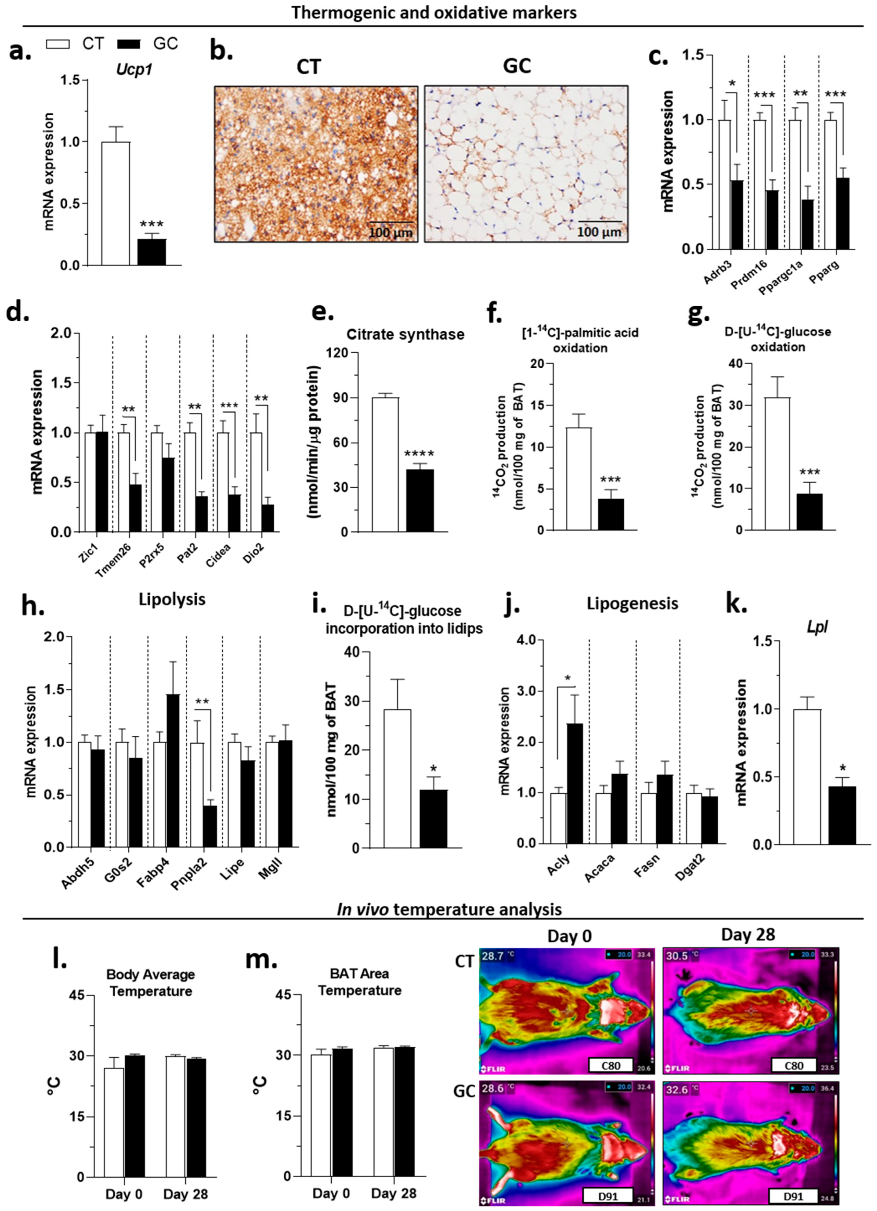 Biomedicines 10 02328 g007
