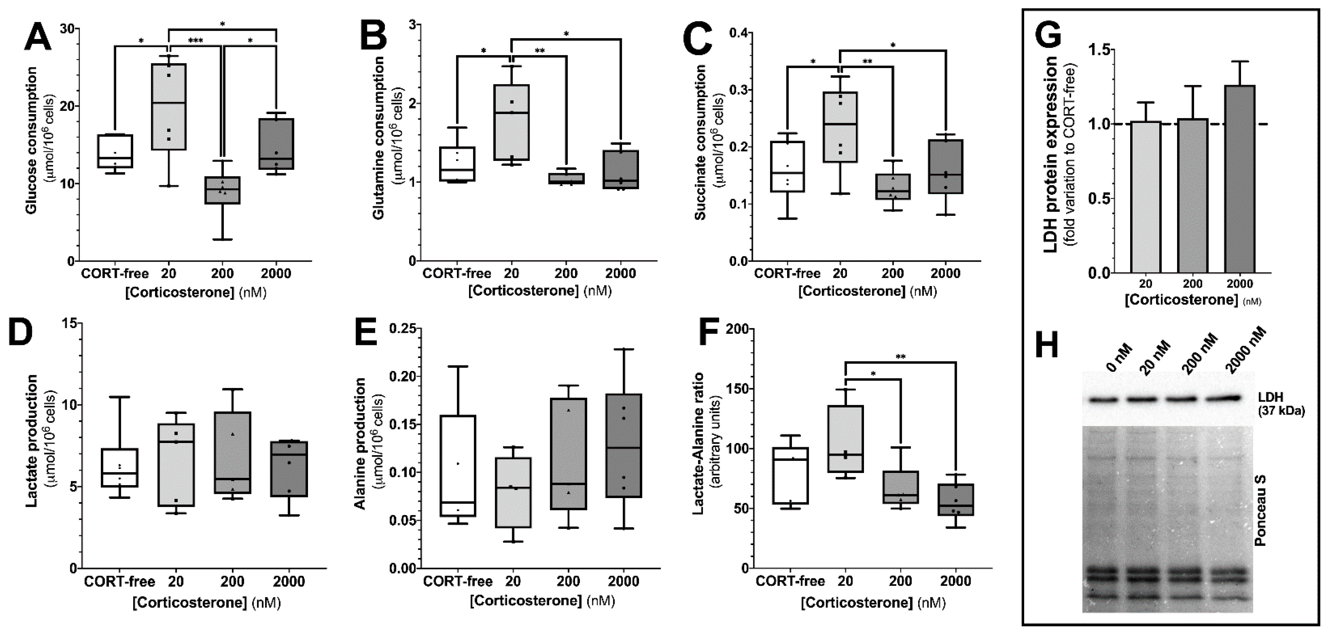 Biomedicines 10 02331 g002 Biomedicines 10 02331 g002