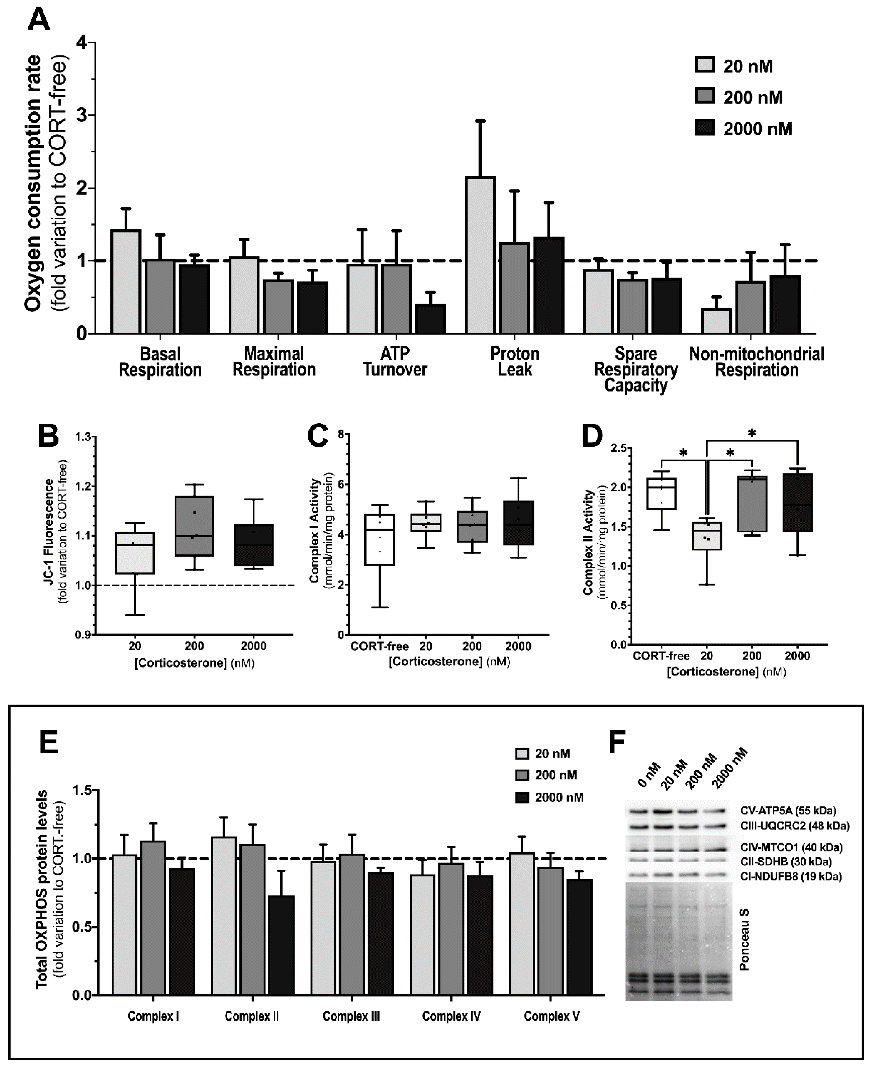 Biomedicines 10 02331 g003 Biomedicines 10 02331 g003