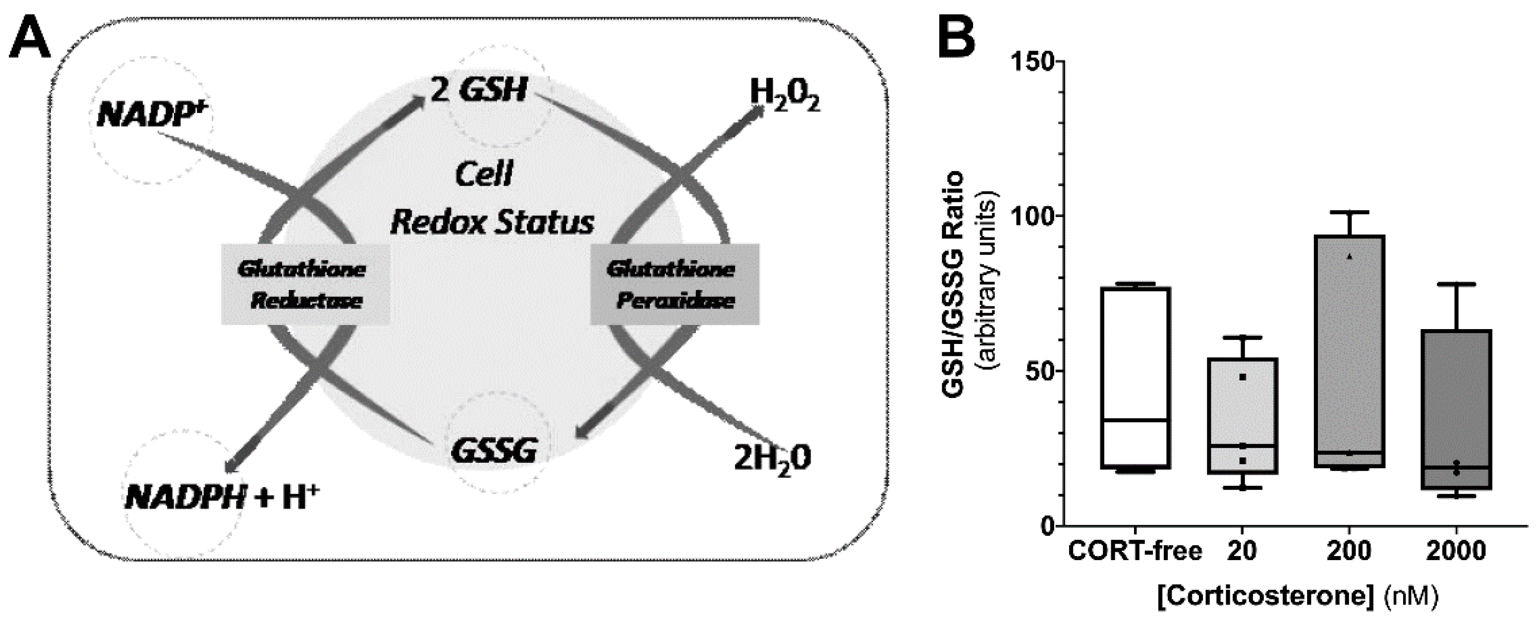 Biomedicines 10 02331 g004 Biomedicines 10 02331 g004