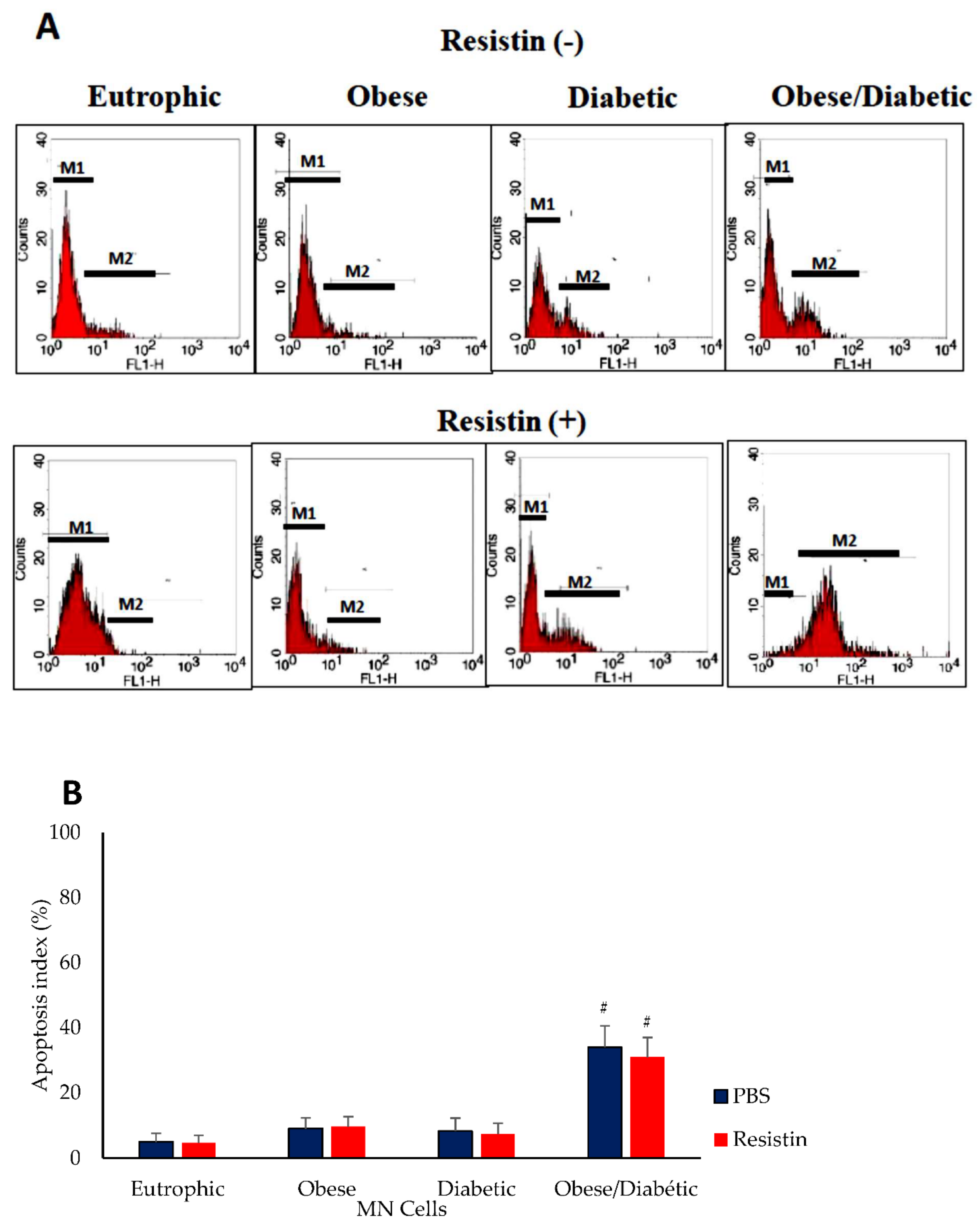 Biomedicines 10 02332 g001