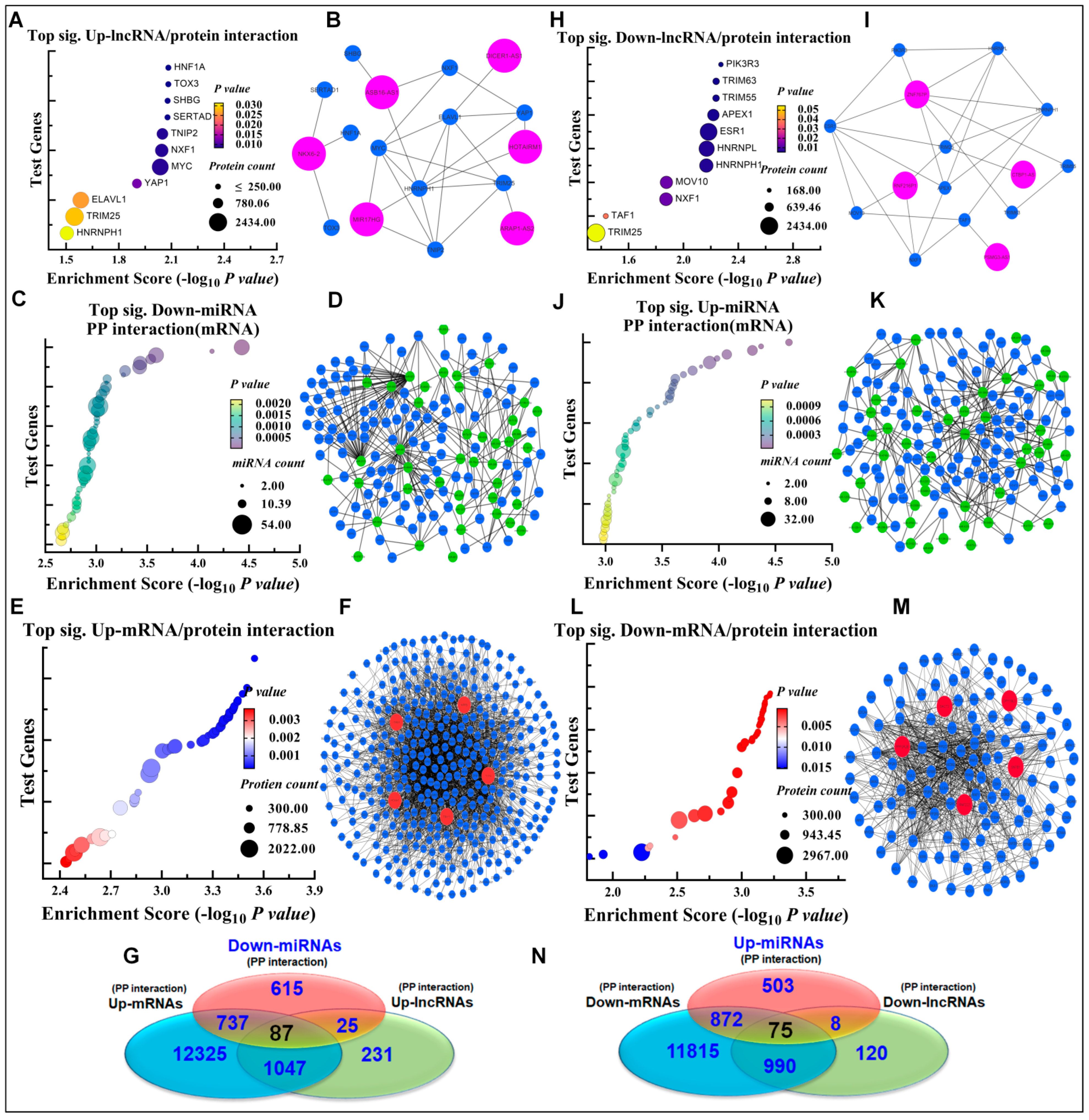 Biomedicines 10 02334 g003 Biomedicines 10 02334 g003