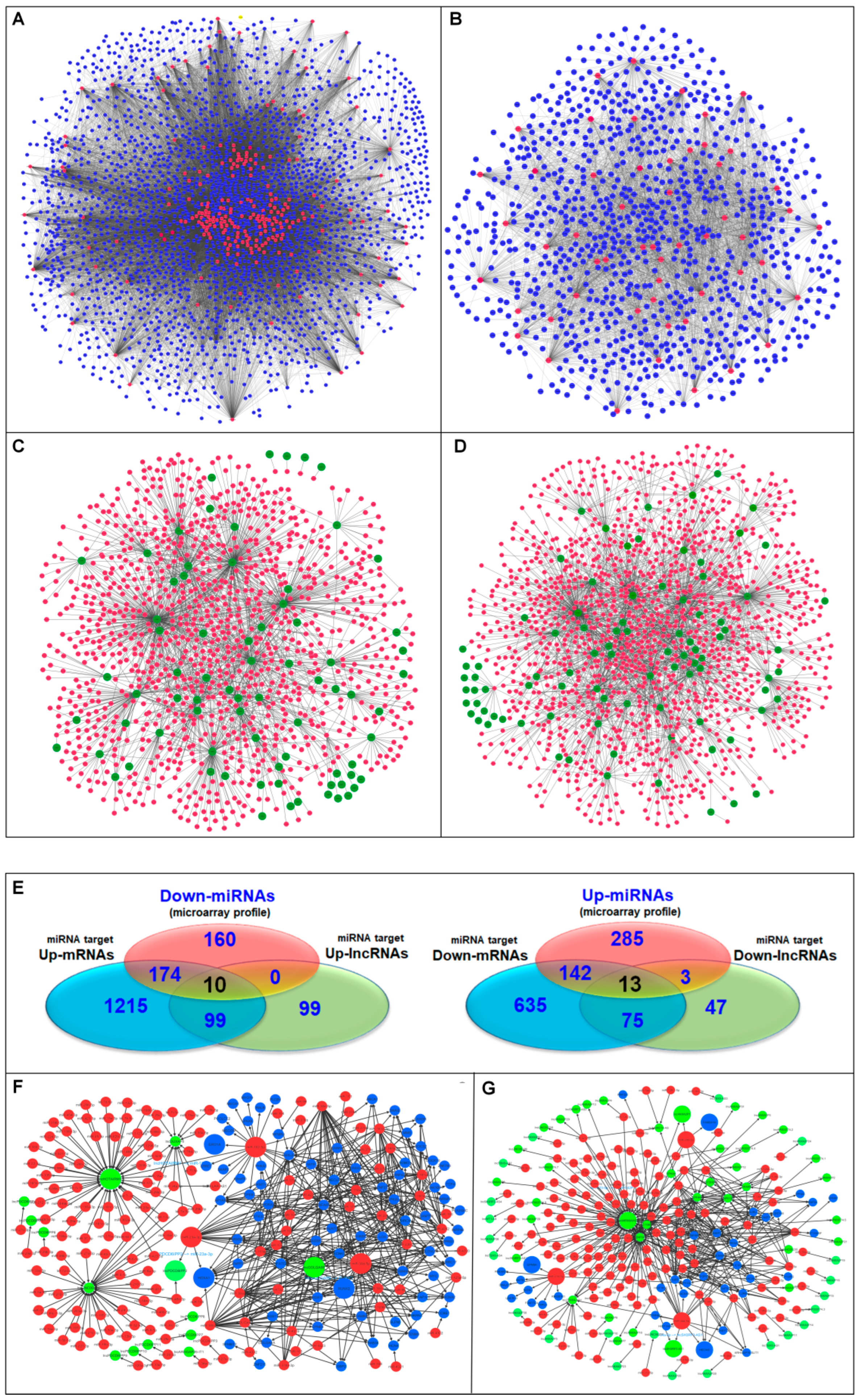 Biomedicines 10 02334 g004 Biomedicines 10 02334 g004