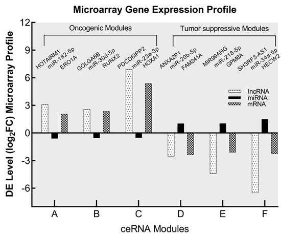 The Oncogenic and Tumor Suppressive Long Non-Coding RNA