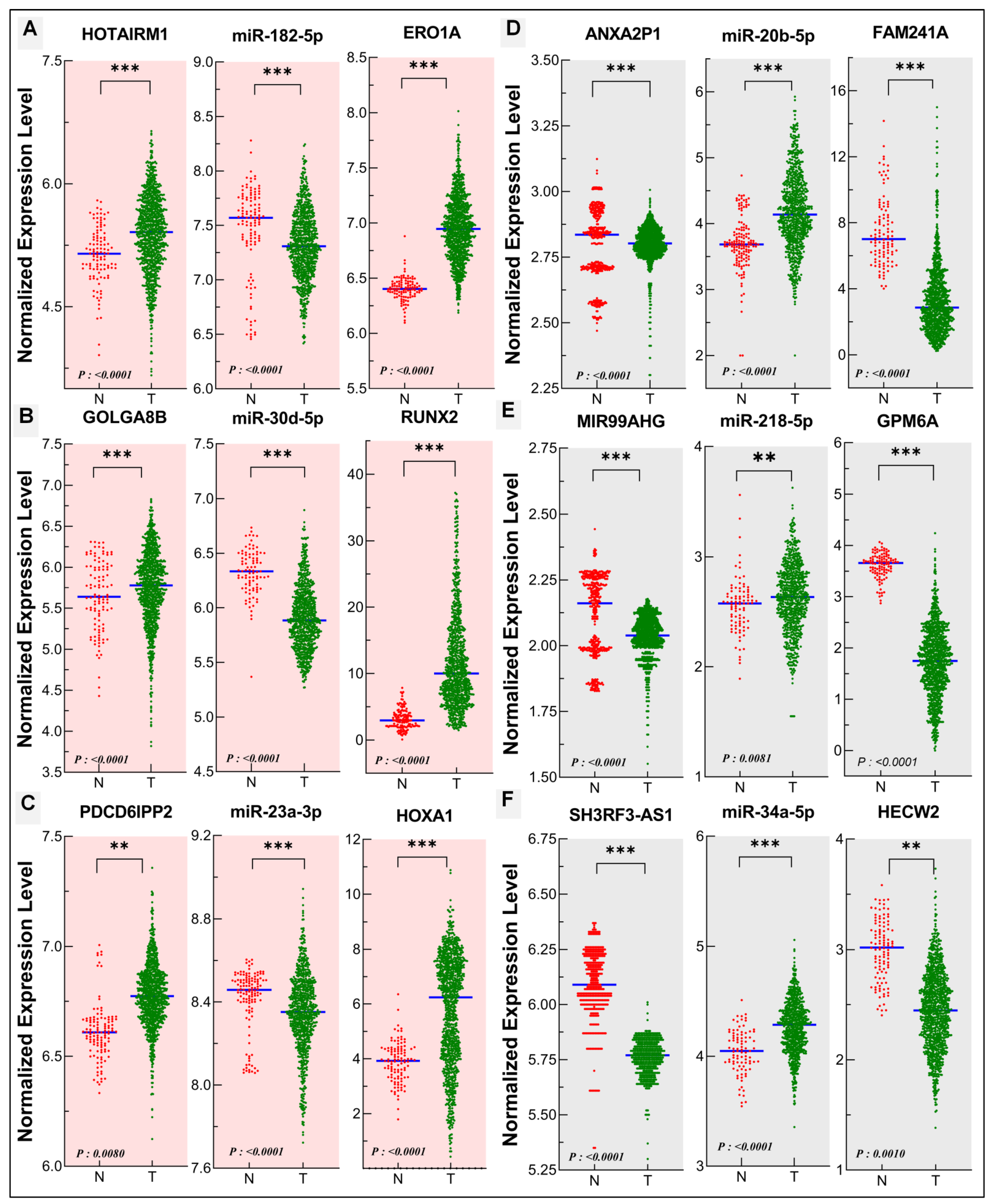 Biomedicines 10 02334 g006 Biomedicines 10 02334 g006