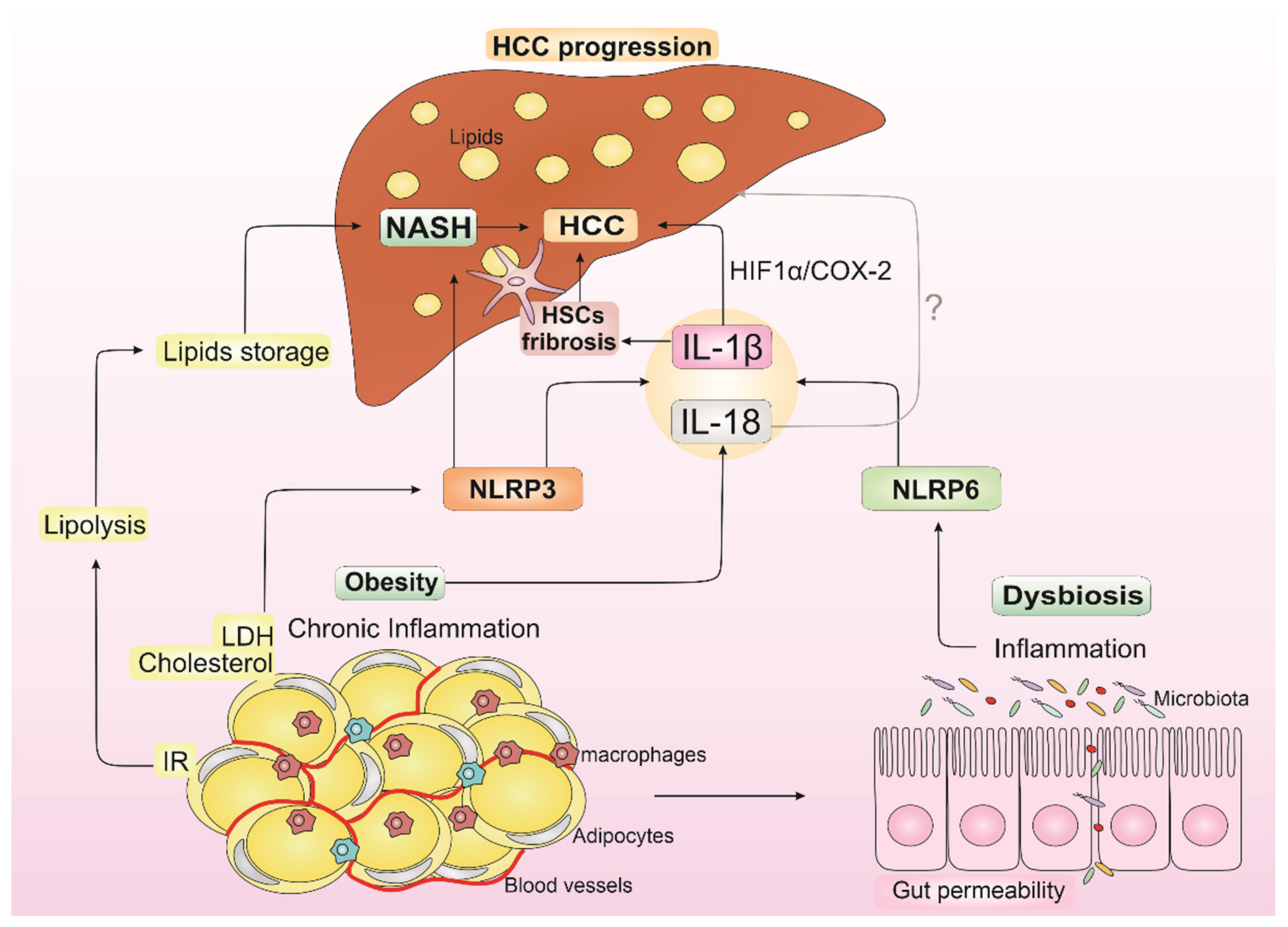 Biomedicines 10 02344 g002 Biomedicines 10 02344 g002