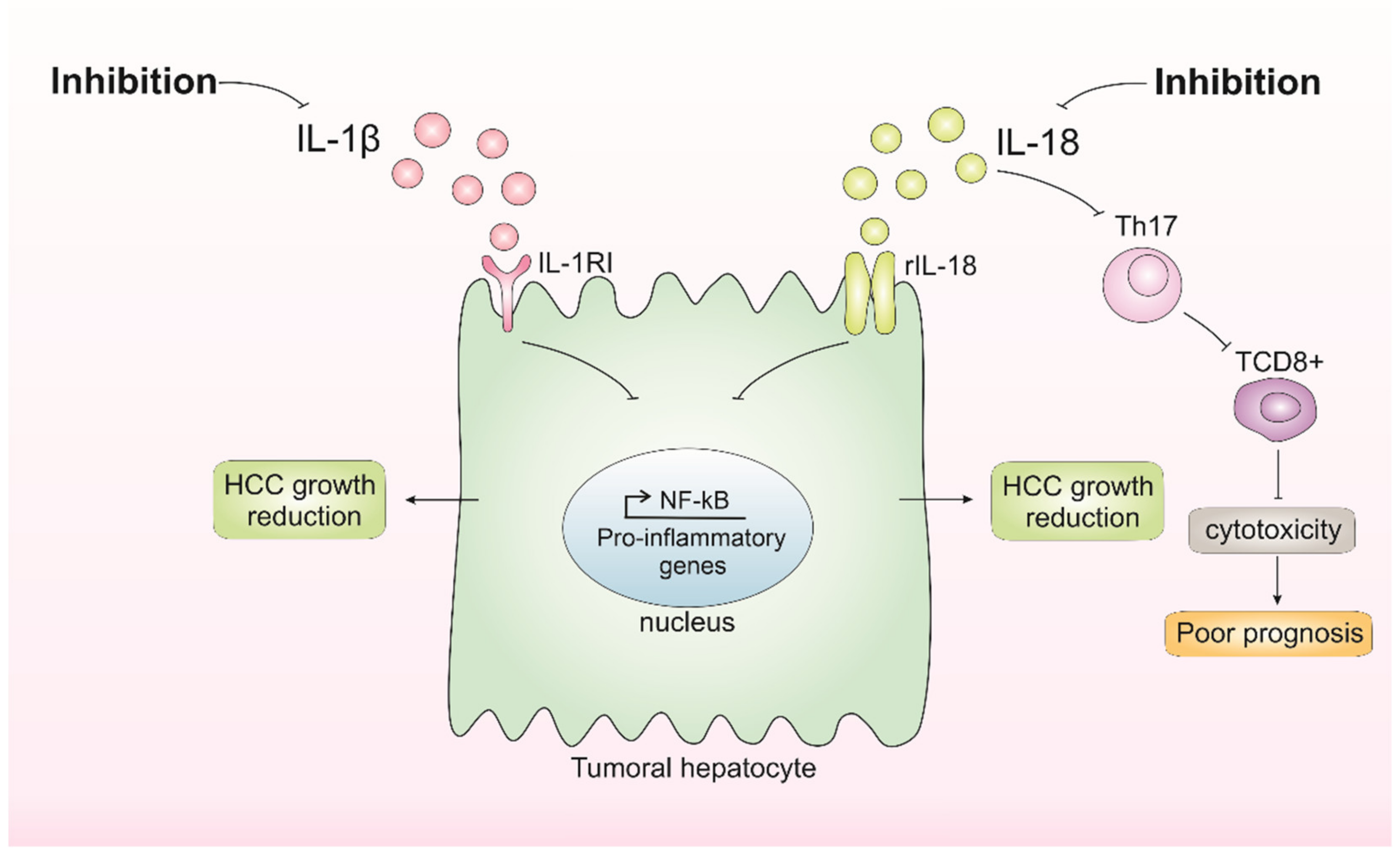 Biomedicines 10 02344 g003 Biomedicines 10 02344 g003