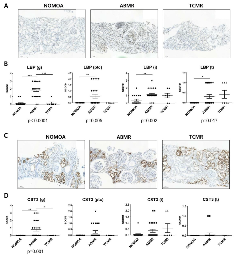 Biomedicines 10 02346 g005 Biomedicines 10 02346 g005