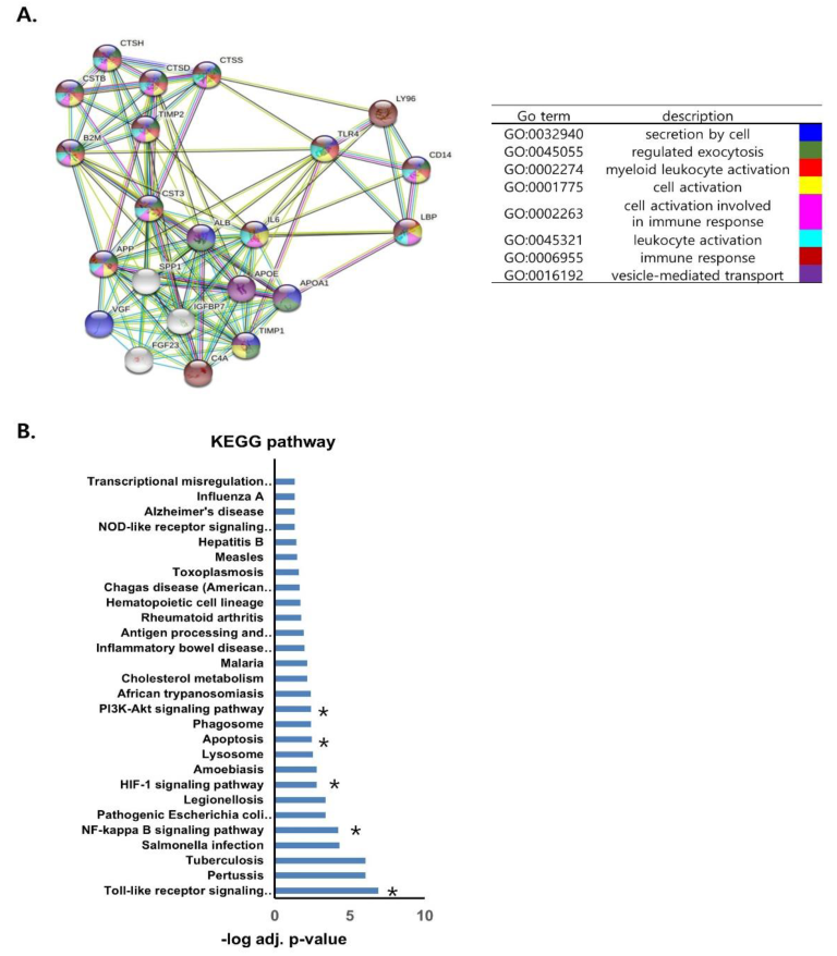 Biomedicines 10 02346 g007 Biomedicines 10 02346 g007