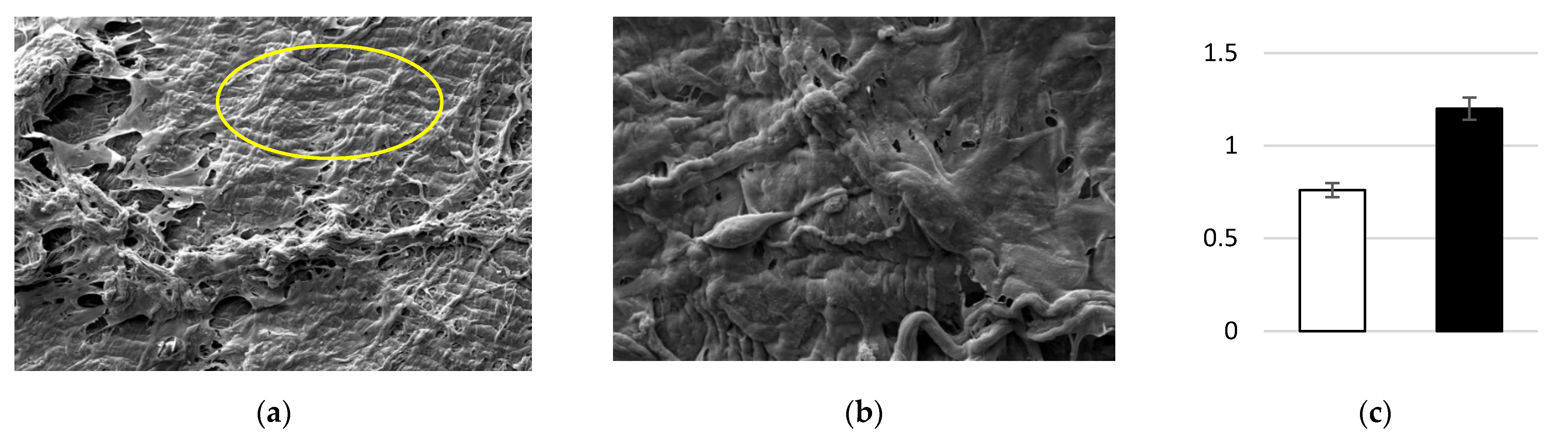 Biomedicines 10 02352 g004 Biomedicines 10 02352 g004