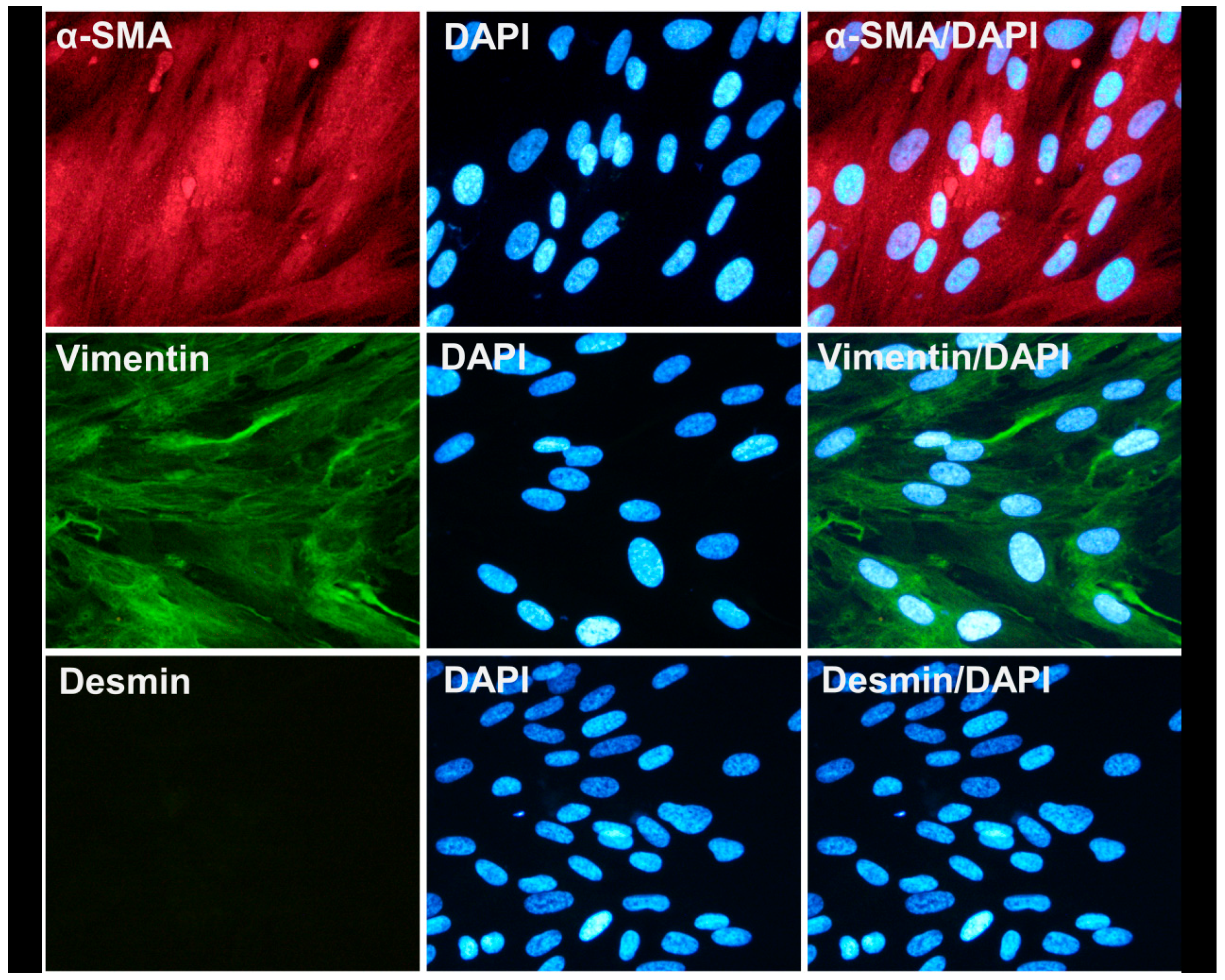 Biomedicines 10 02357 g001 Biomedicines 10 02357 g001