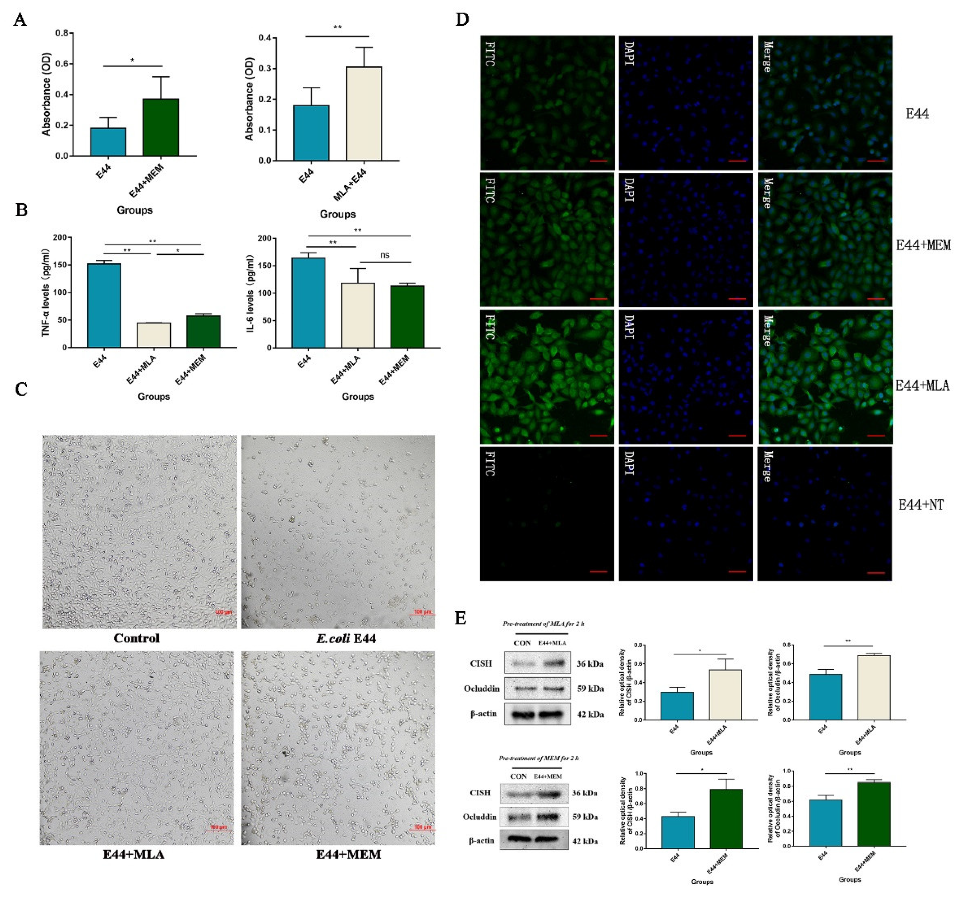 Biomedicines 10 02358 g005