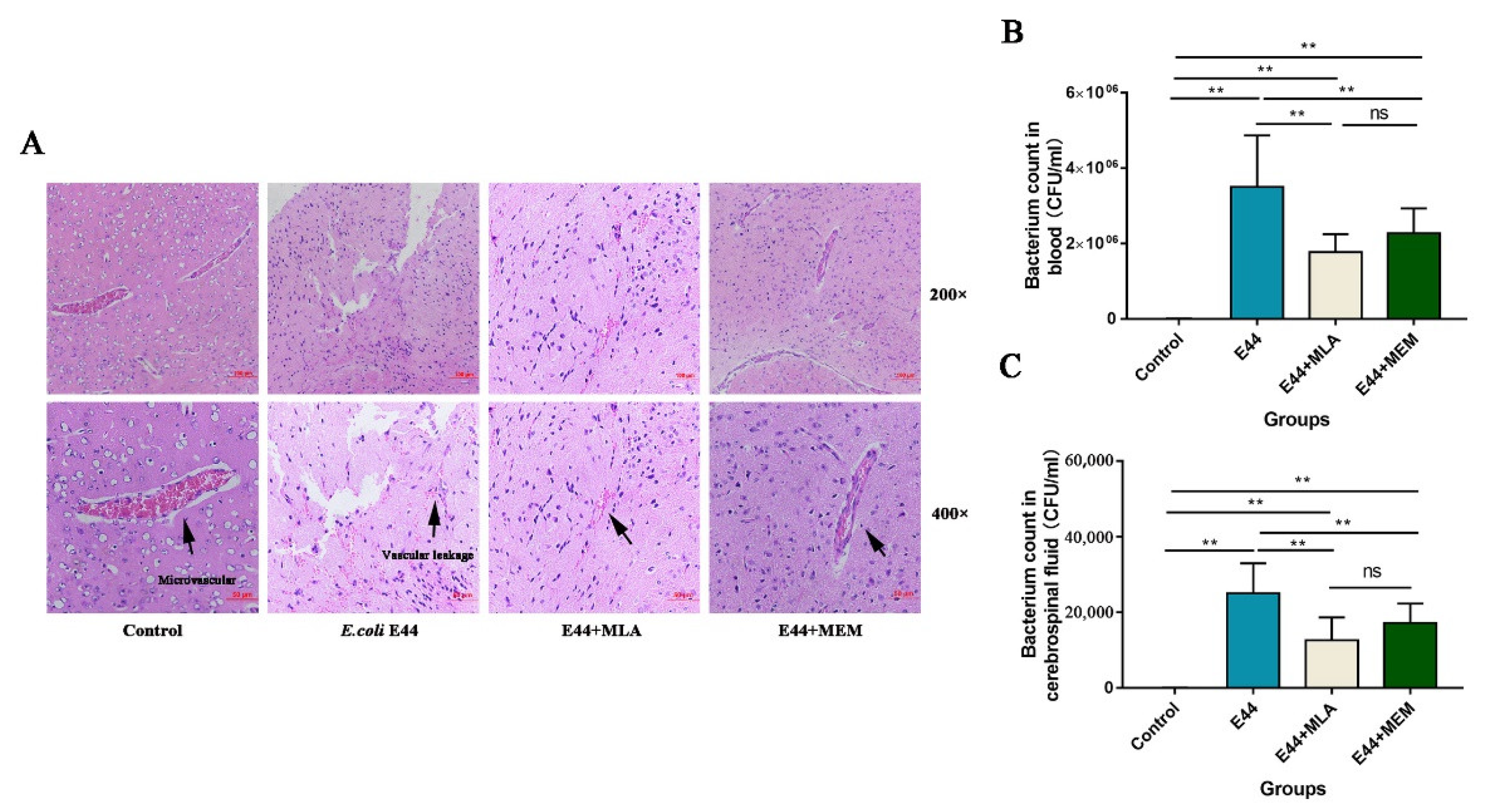 Biomedicines 10 02358 g006