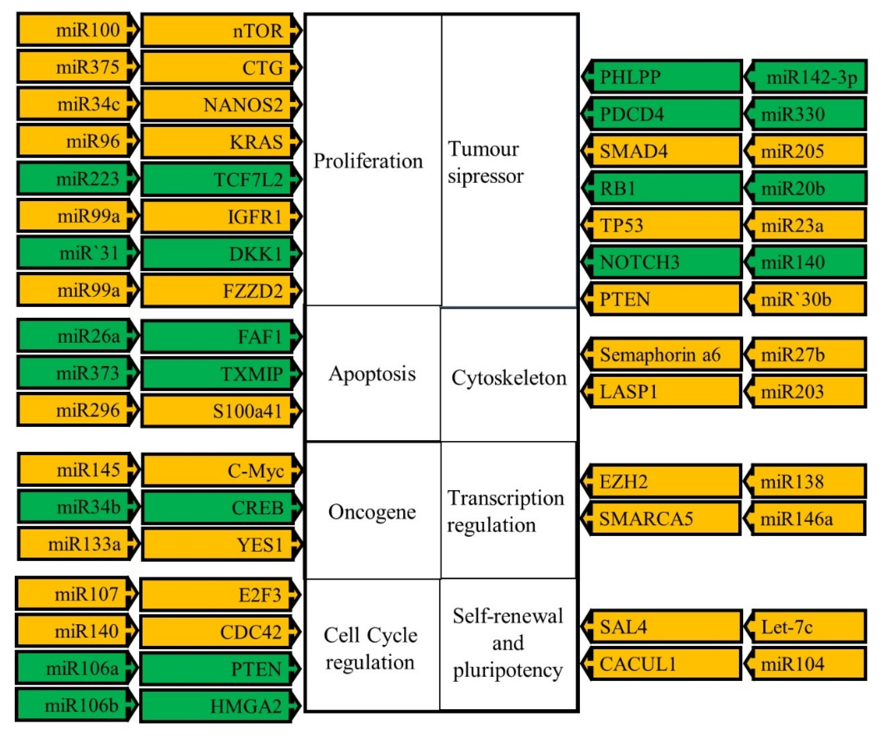 Biomedicines 10 02359 g003 Biomedicines 10 02359 g003