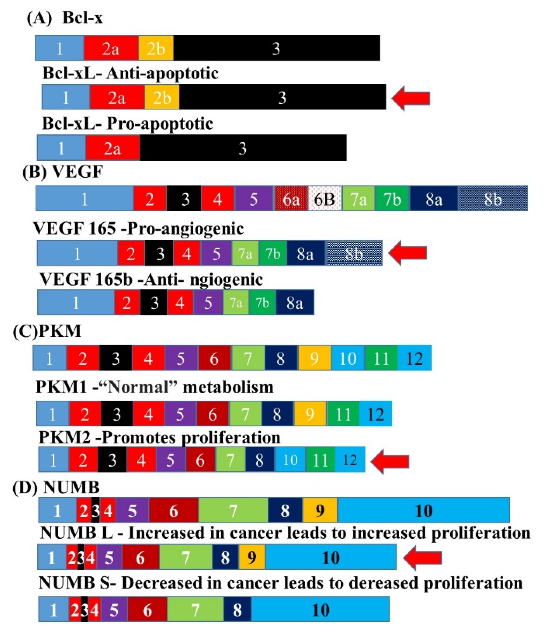 Biomedicines 10 02359 g005 Biomedicines 10 02359 g005