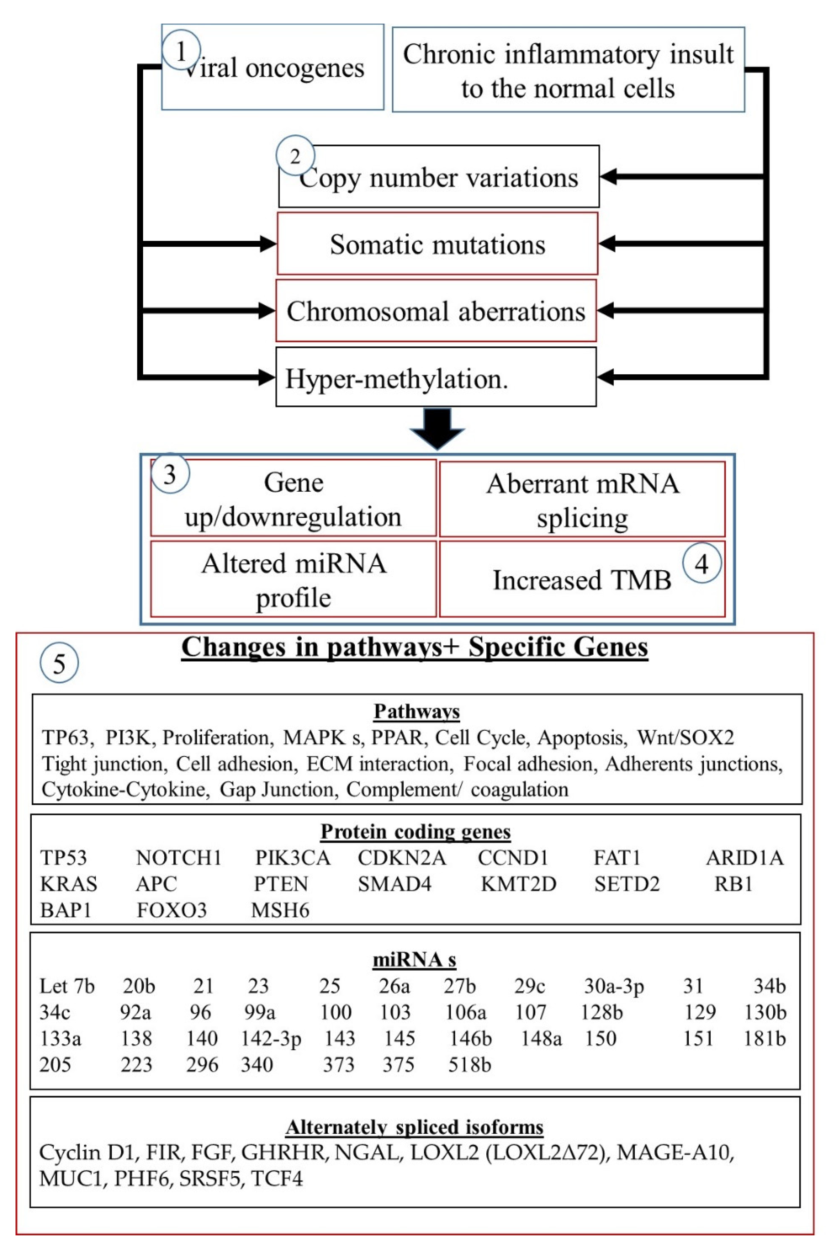 Biomedicines 10 02359 g006 Biomedicines 10 02359 g006