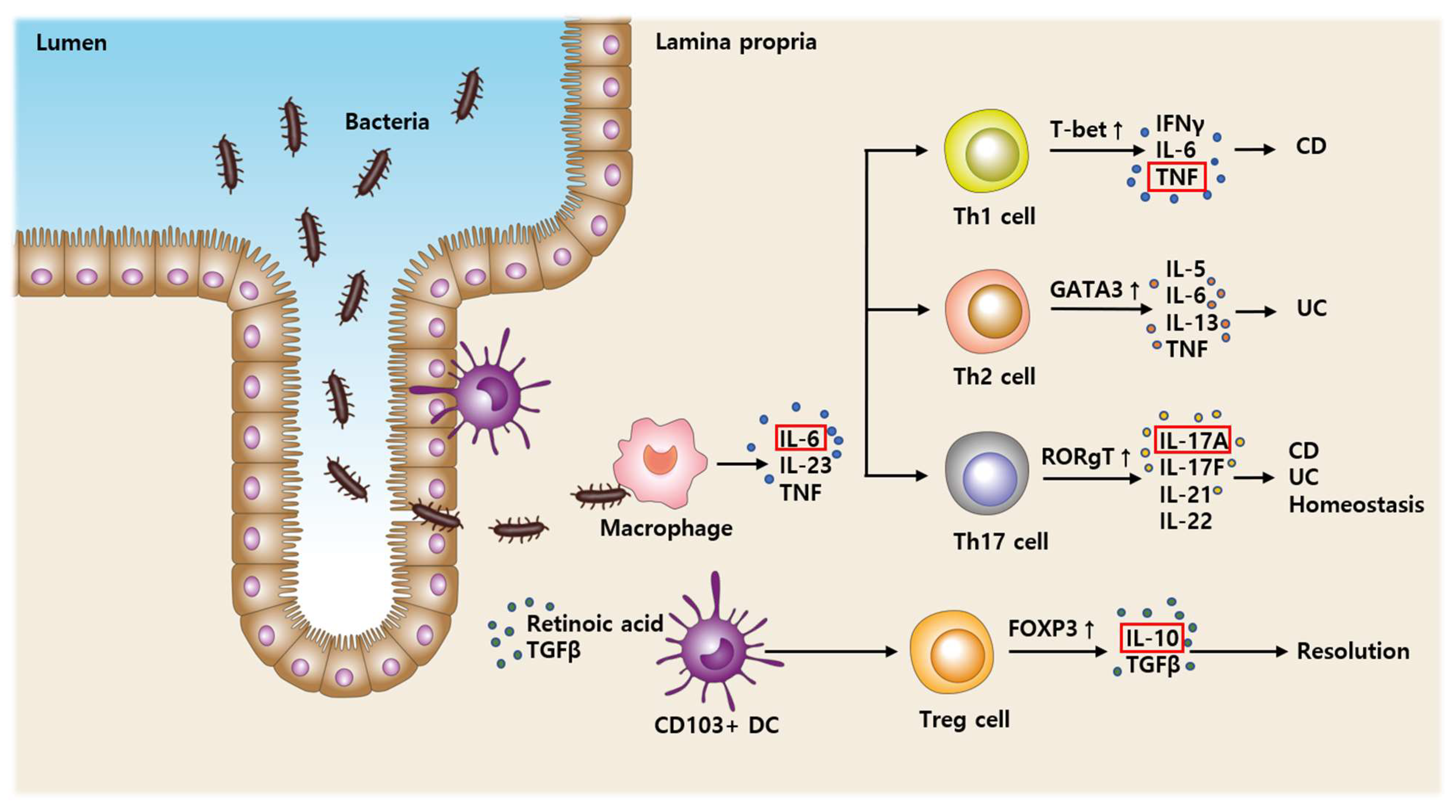 Biomedicines 10 02372 g001 Biomedicines 10 02372 g001
